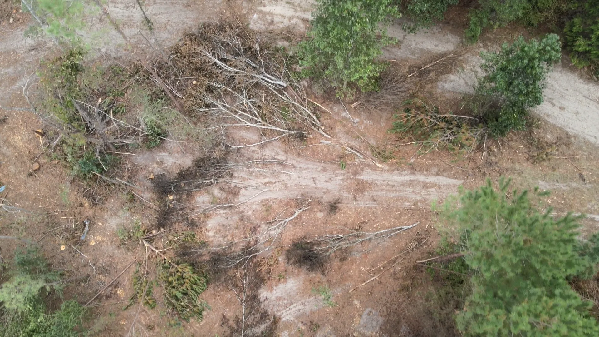 Unimproved Land For Sale in Rusk County , 500 Uren Lee Road, Overton, Texas 75684, 0, 0, Garage spaces, 0 Sqft, built in 0, mls#21406049, Real Estate Agent in Overton, Homes For Sale in Rusk county, Homes For Sale in Overton, Realtor in Overton Texas, Real Estate Brokerage Independent Realty Texas, Luminita Cordes Realtor