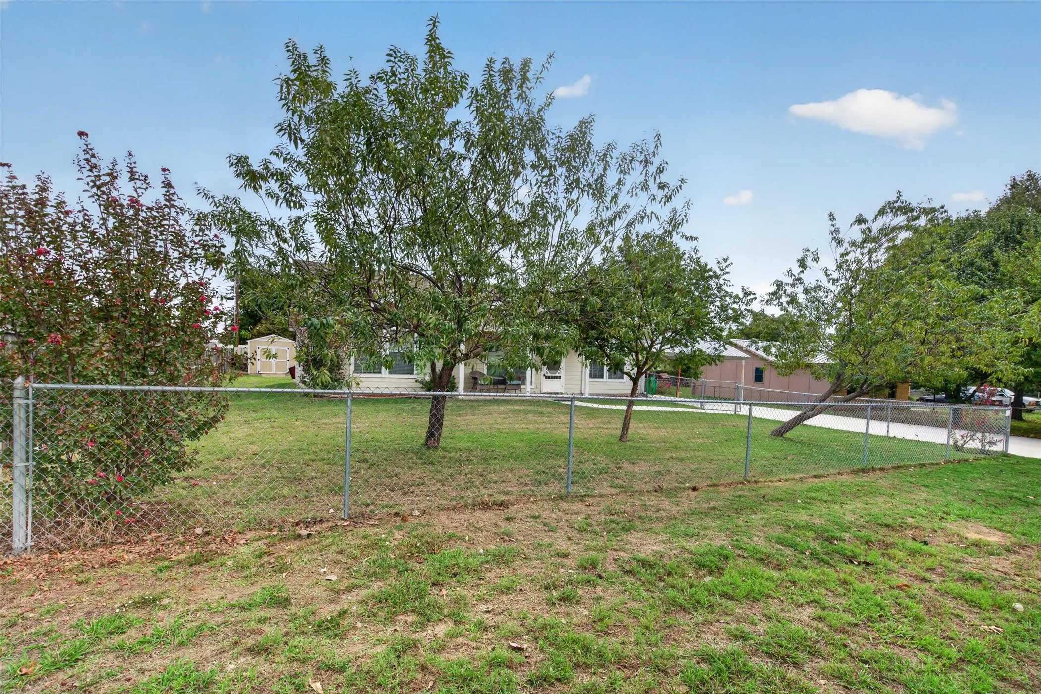 Fenced backyard featuring a manicured lawn, mature trees, and a detached storage structure