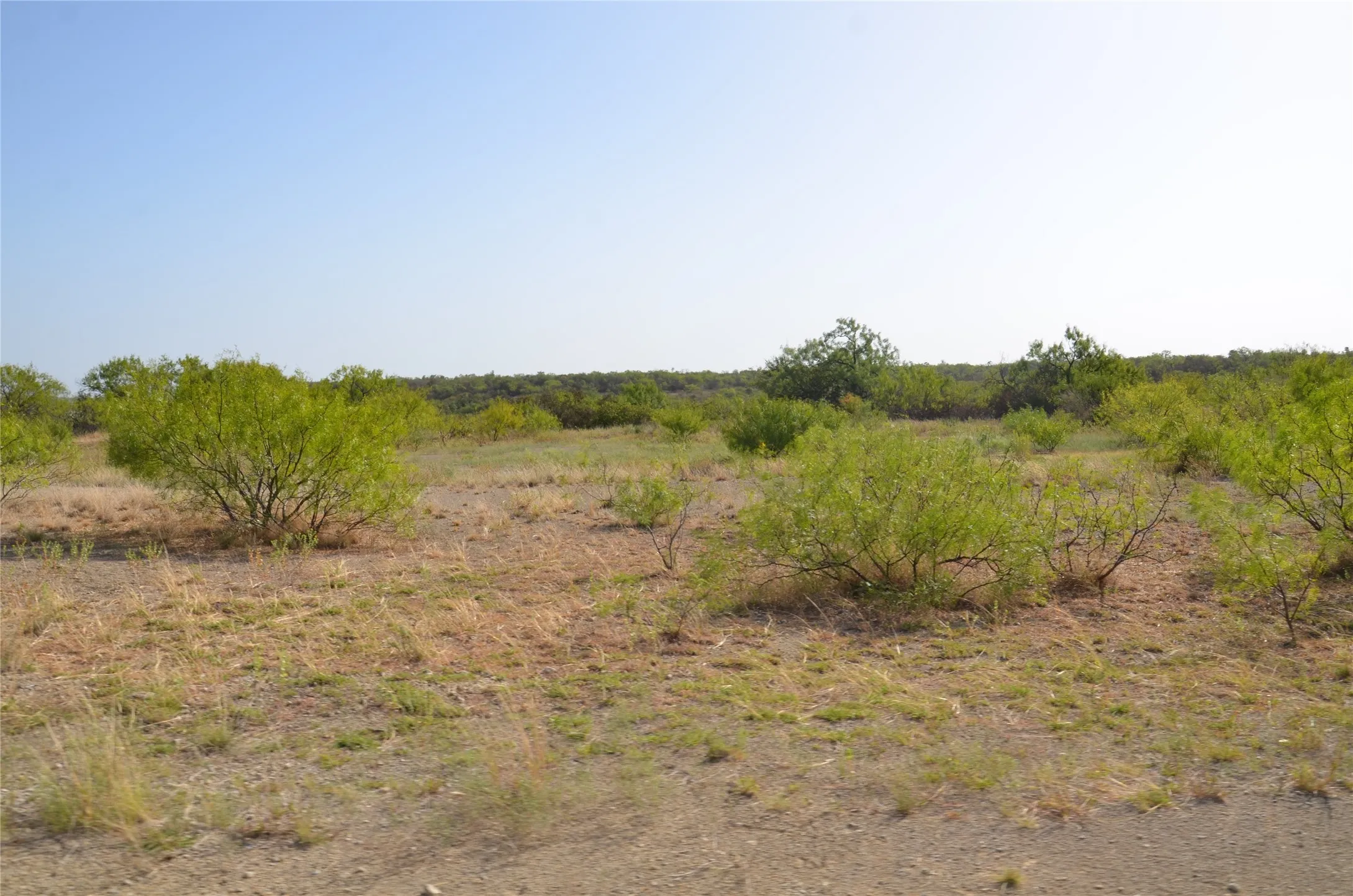 Ranch For Sale in Callahan County , TBD CR 326, Baird, Texas 79504, 0, 0, Garage spaces, 0 Sqft, built in 0, mls#21405986, Real Estate Agent in Baird, Homes For Sale in Callahan county, Homes For Sale in Baird, Realtor in Baird Texas, Real Estate Brokerage Independent Realty Texas, Luminita Cordes Realtor