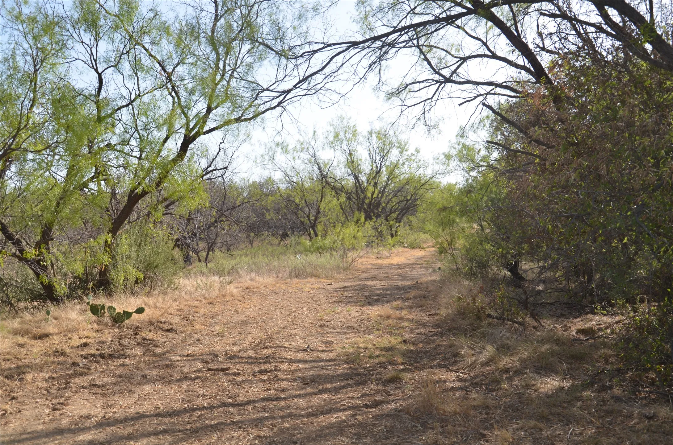 Ranch For Sale in Callahan County , TBD CR 326, Baird, Texas 79504, 0, 0, Garage spaces, 0 Sqft, built in 0, mls#21405986, Real Estate Agent in Baird, Homes For Sale in Callahan county, Homes For Sale in Baird, Realtor in Baird Texas, Real Estate Brokerage Independent Realty Texas, Luminita Cordes Realtor