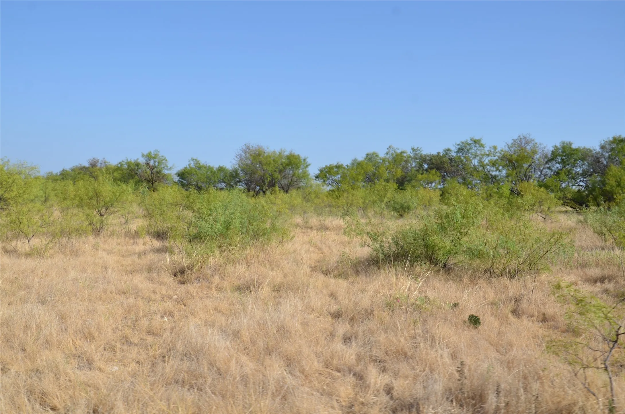 Ranch For Sale in Callahan County , TBD CR 326, Baird, Texas 79504, 0, 0, Garage spaces, 0 Sqft, built in 0, mls#21405986, Real Estate Agent in Baird, Homes For Sale in Callahan county, Homes For Sale in Baird, Realtor in Baird Texas, Real Estate Brokerage Independent Realty Texas, Luminita Cordes Realtor