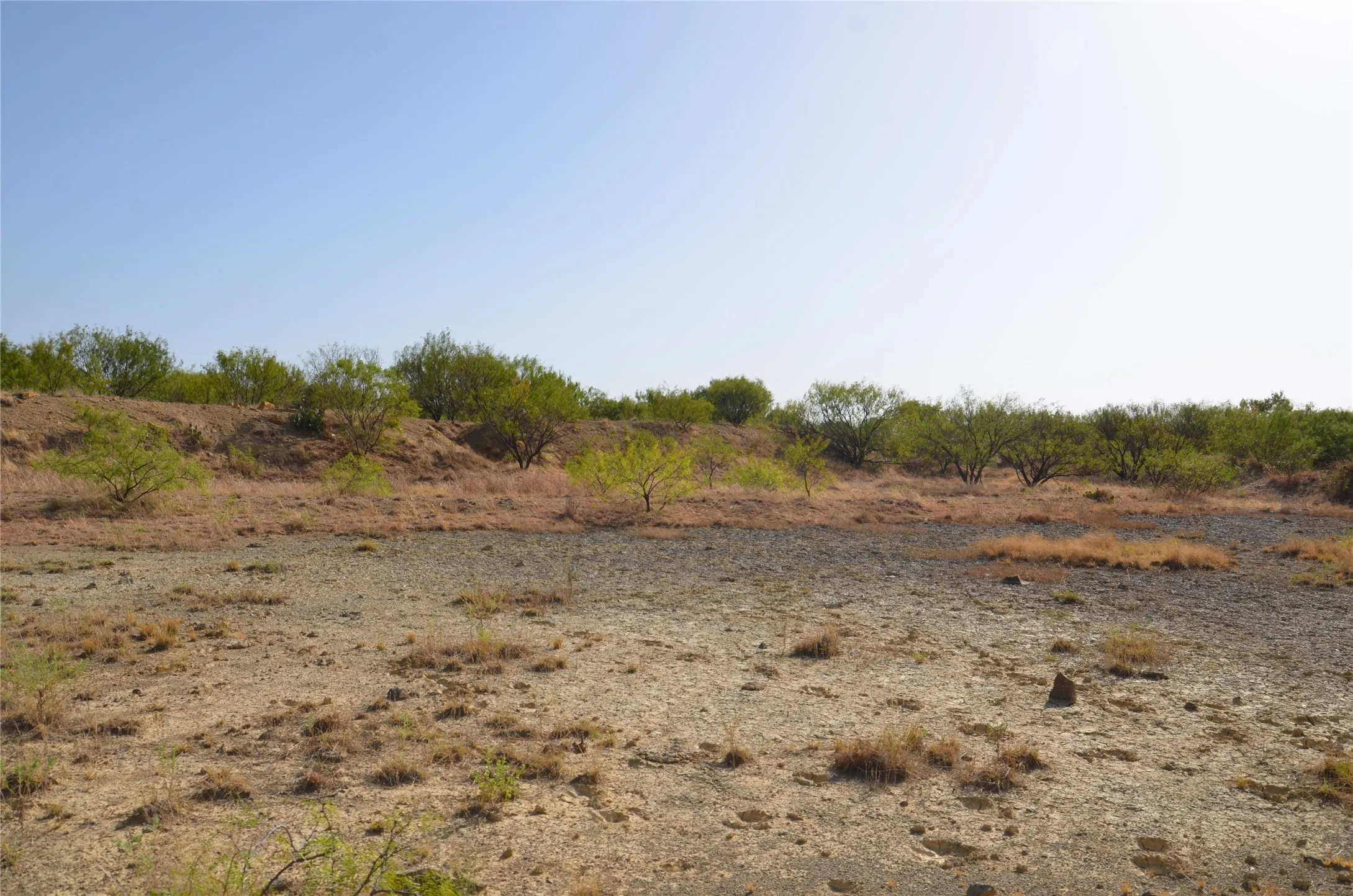 Ranch For Sale in Callahan County , TBD CR 326, Baird, Texas 79504, 0, 0, Garage spaces, 0 Sqft, built in 0, mls#21405986, Real Estate Agent in Baird, Homes For Sale in Callahan county, Homes For Sale in Baird, Realtor in Baird Texas, Real Estate Brokerage Independent Realty Texas, Luminita Cordes Realtor