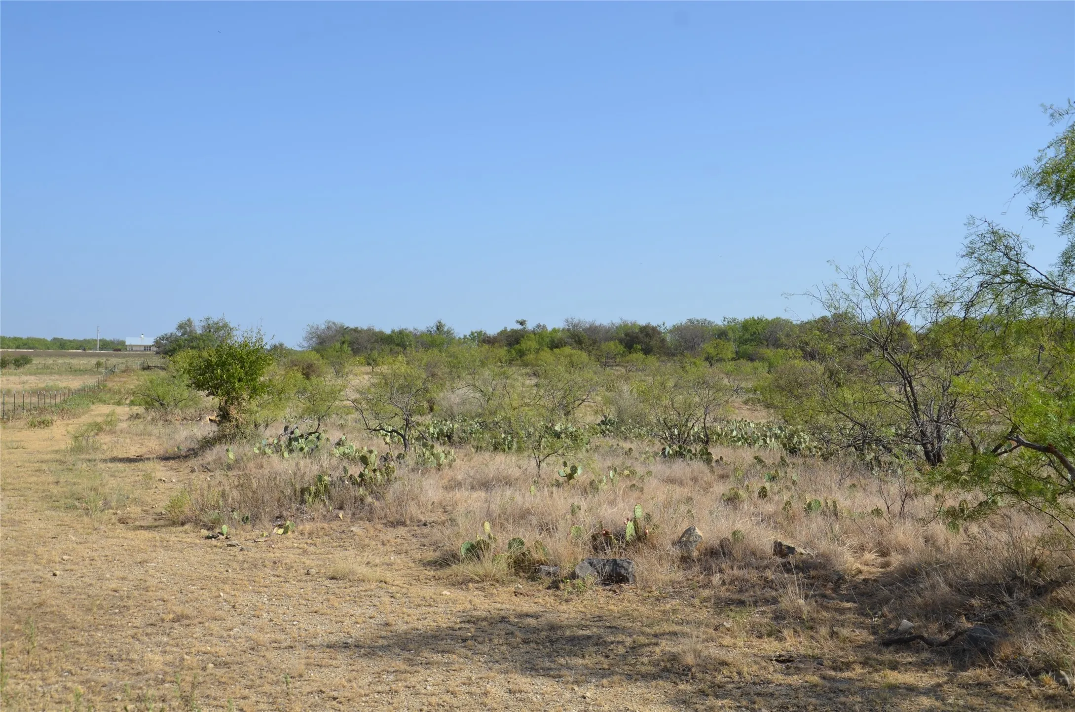 Ranch For Sale in Callahan County , TBD CR 326, Baird, Texas 79504, 0, 0, Garage spaces, 0 Sqft, built in 0, mls#21405986, Real Estate Agent in Baird, Homes For Sale in Callahan county, Homes For Sale in Baird, Realtor in Baird Texas, Real Estate Brokerage Independent Realty Texas, Luminita Cordes Realtor