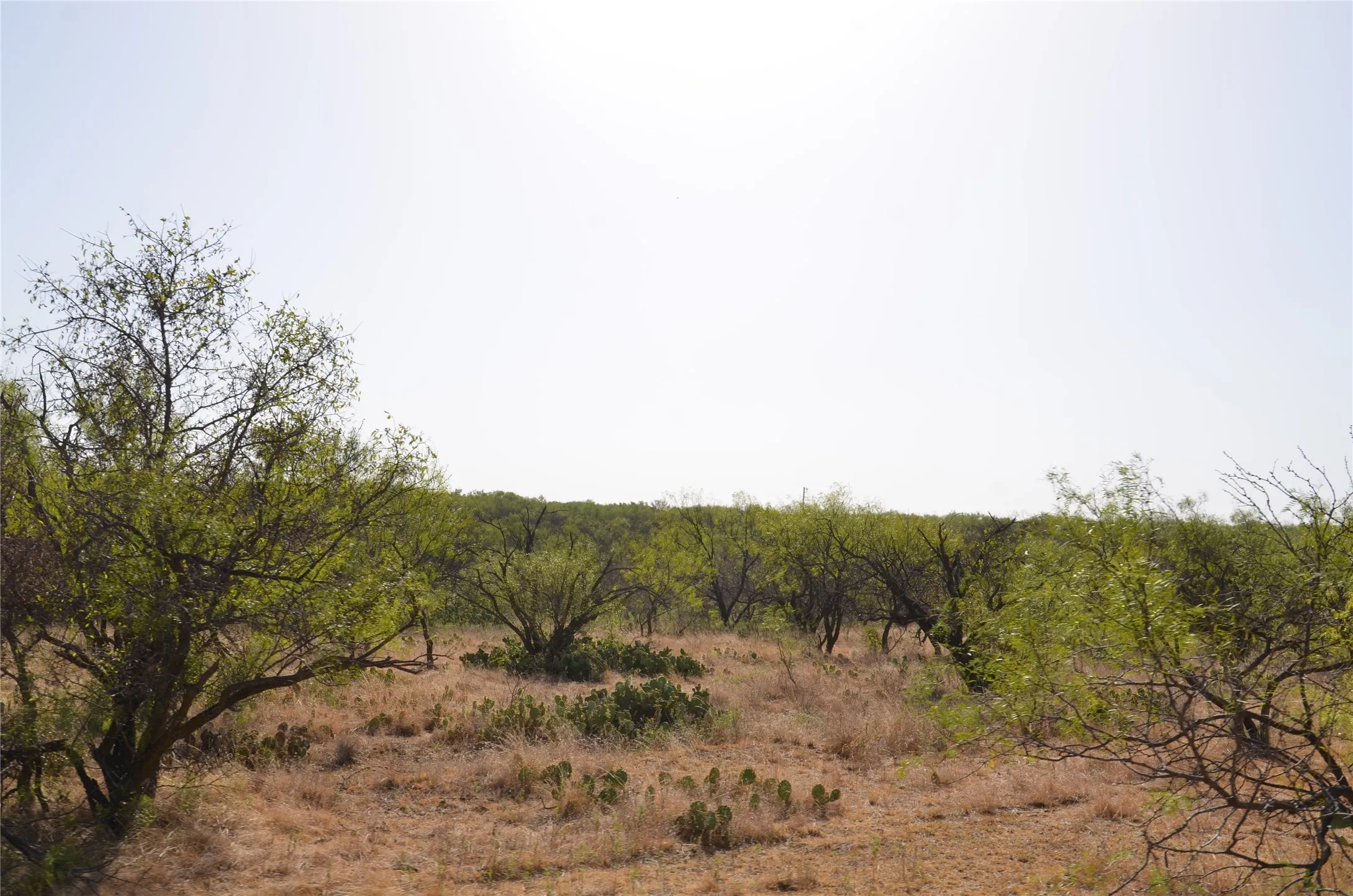 Ranch For Sale in Callahan County , TBD CR 326, Baird, Texas 79504, 0, 0, Garage spaces, 0 Sqft, built in 0, mls#21405986, Real Estate Agent in Baird, Homes For Sale in Callahan county, Homes For Sale in Baird, Realtor in Baird Texas, Real Estate Brokerage Independent Realty Texas, Luminita Cordes Realtor