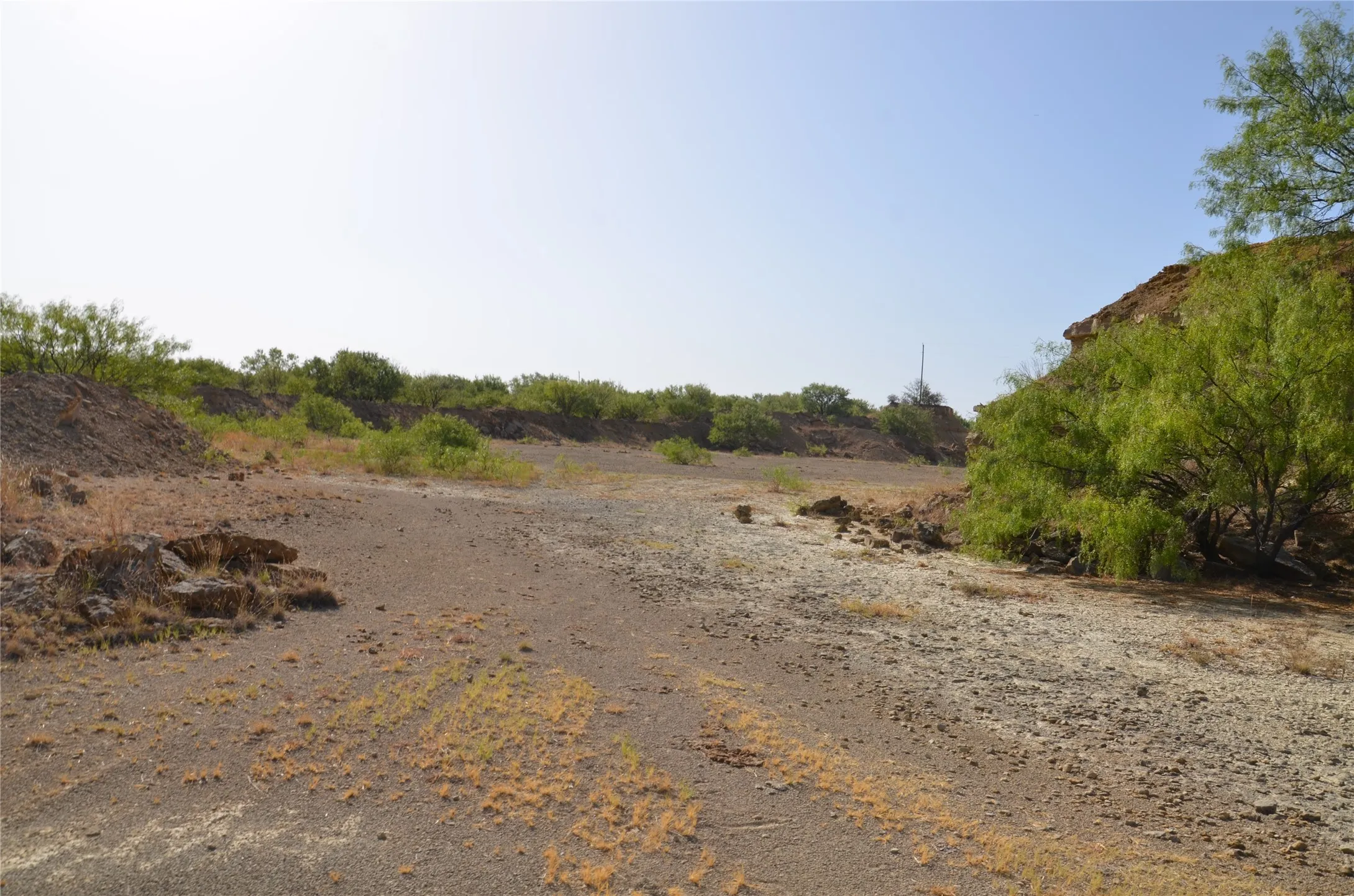 Ranch For Sale in Callahan County , TBD CR 326, Baird, Texas 79504, 0, 0, Garage spaces, 0 Sqft, built in 0, mls#21405986, Real Estate Agent in Baird, Homes For Sale in Callahan county, Homes For Sale in Baird, Realtor in Baird Texas, Real Estate Brokerage Independent Realty Texas, Luminita Cordes Realtor