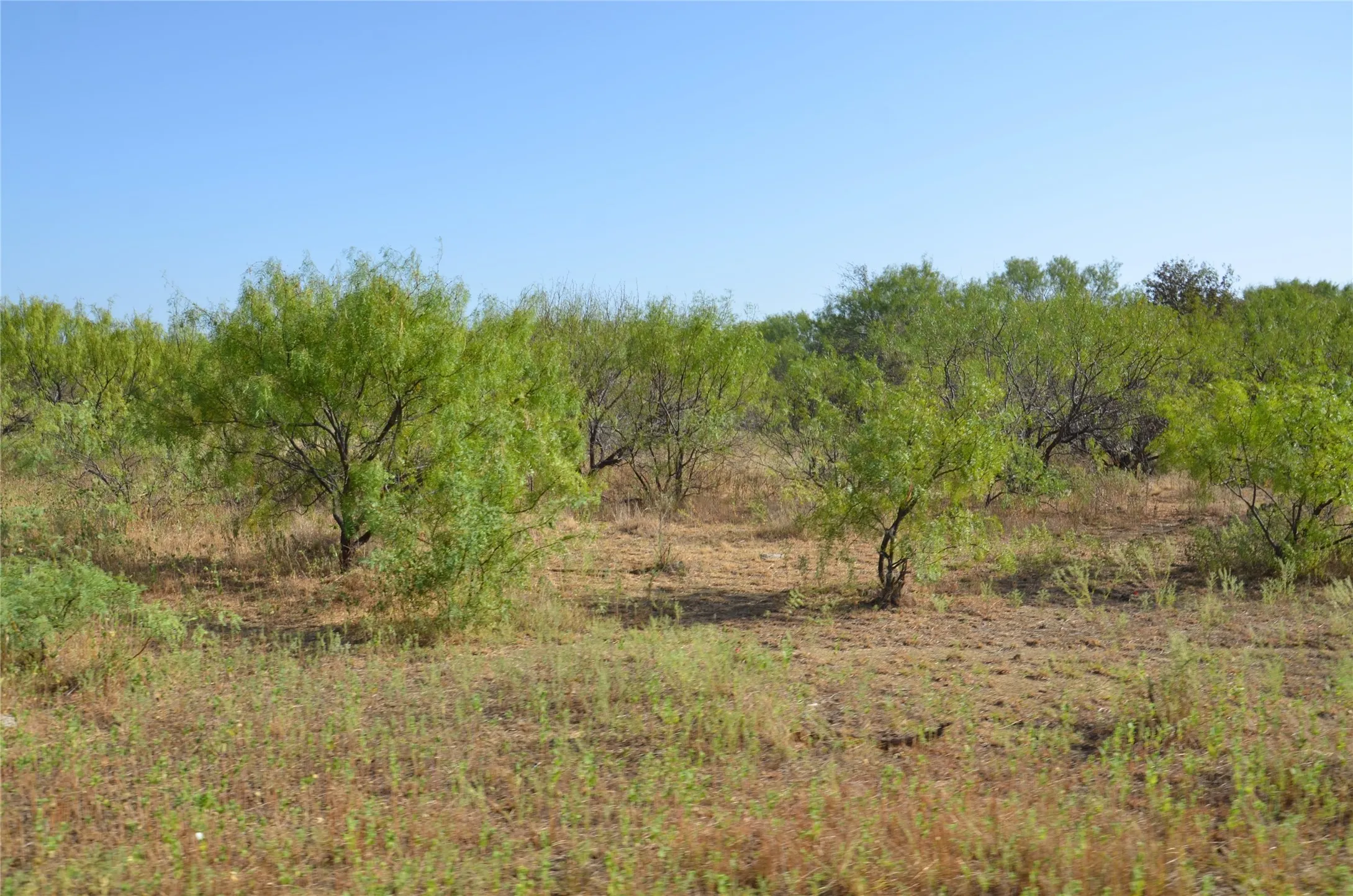 Ranch For Sale in Callahan County , TBD CR 326, Baird, Texas 79504, 0, 0, Garage spaces, 0 Sqft, built in 0, mls#21405986, Real Estate Agent in Baird, Homes For Sale in Callahan county, Homes For Sale in Baird, Realtor in Baird Texas, Real Estate Brokerage Independent Realty Texas, Luminita Cordes Realtor