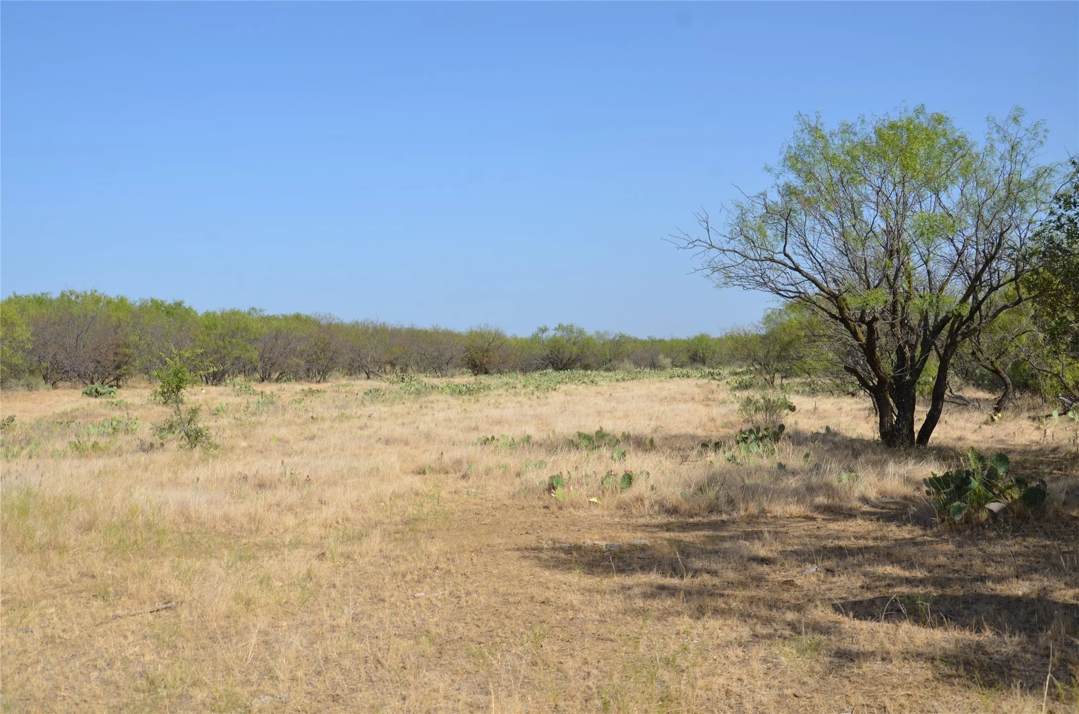 Ranch For Sale in Callahan County , TBD CR 326, Baird, Texas 79504, 0, 0, Garage spaces, 0 Sqft, built in 0, mls#21405986, Real Estate Agent in Baird, Homes For Sale in Callahan county, Homes For Sale in Baird, Realtor in Baird Texas, Real Estate Brokerage Independent Realty Texas, Luminita Cordes Realtor