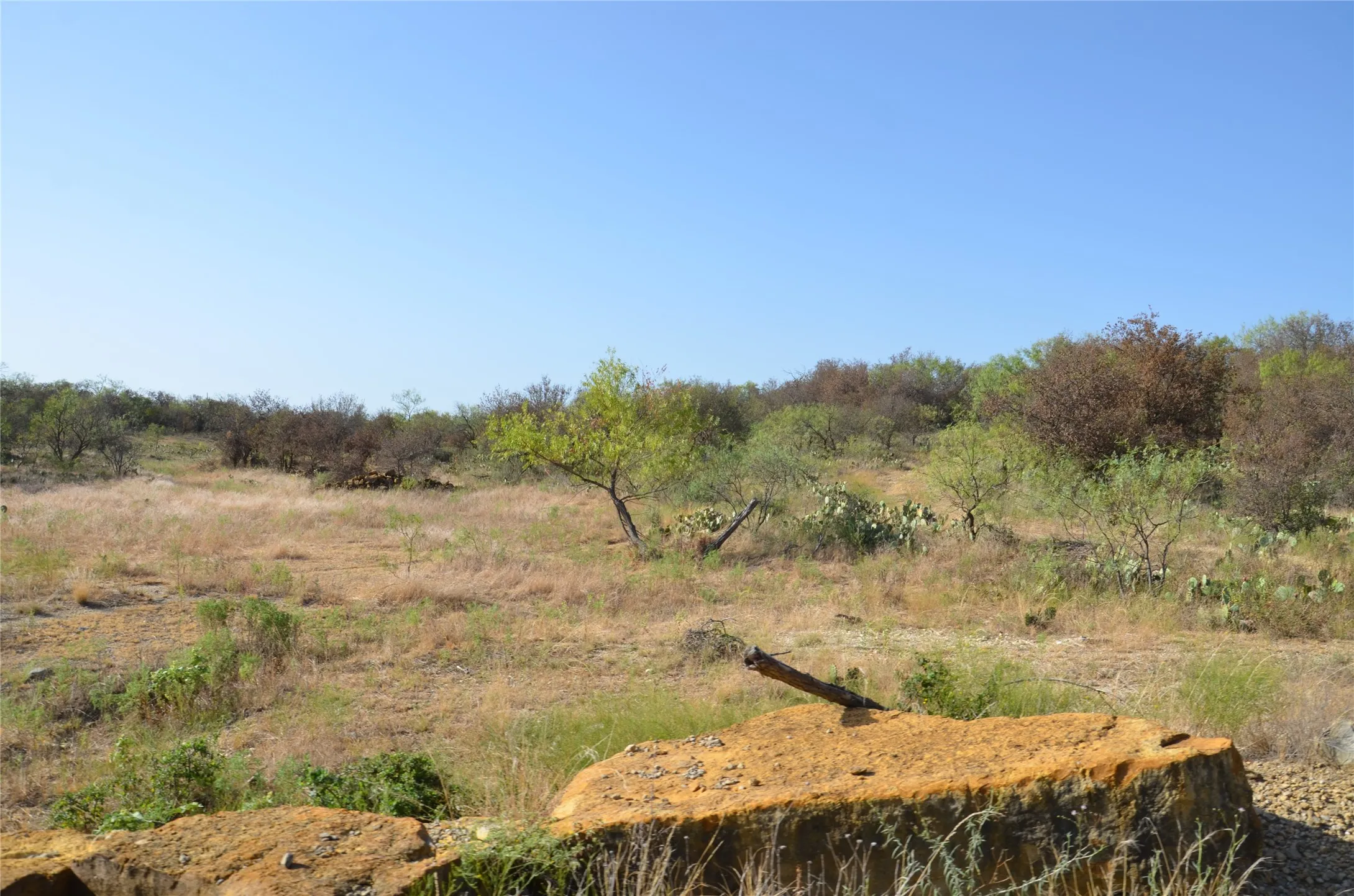 Ranch For Sale in Callahan County , TBD CR 326, Baird, Texas 79504, 0, 0, Garage spaces, 0 Sqft, built in 0, mls#21405986, Real Estate Agent in Baird, Homes For Sale in Callahan county, Homes For Sale in Baird, Realtor in Baird Texas, Real Estate Brokerage Independent Realty Texas, Luminita Cordes Realtor