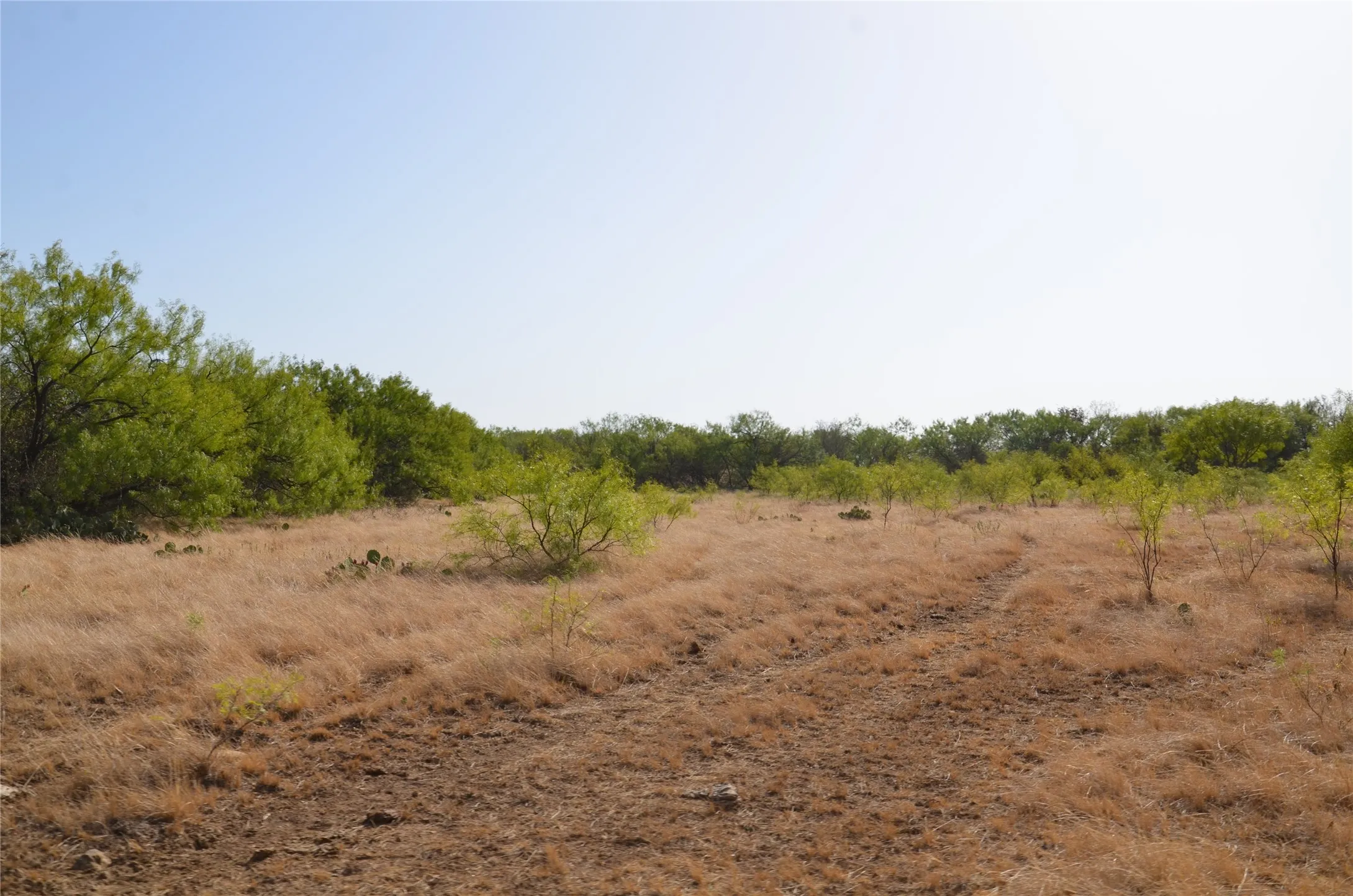 Ranch For Sale in Callahan County , TBD CR 326, Baird, Texas 79504, 0, 0, Garage spaces, 0 Sqft, built in 0, mls#21405986, Real Estate Agent in Baird, Homes For Sale in Callahan county, Homes For Sale in Baird, Realtor in Baird Texas, Real Estate Brokerage Independent Realty Texas, Luminita Cordes Realtor