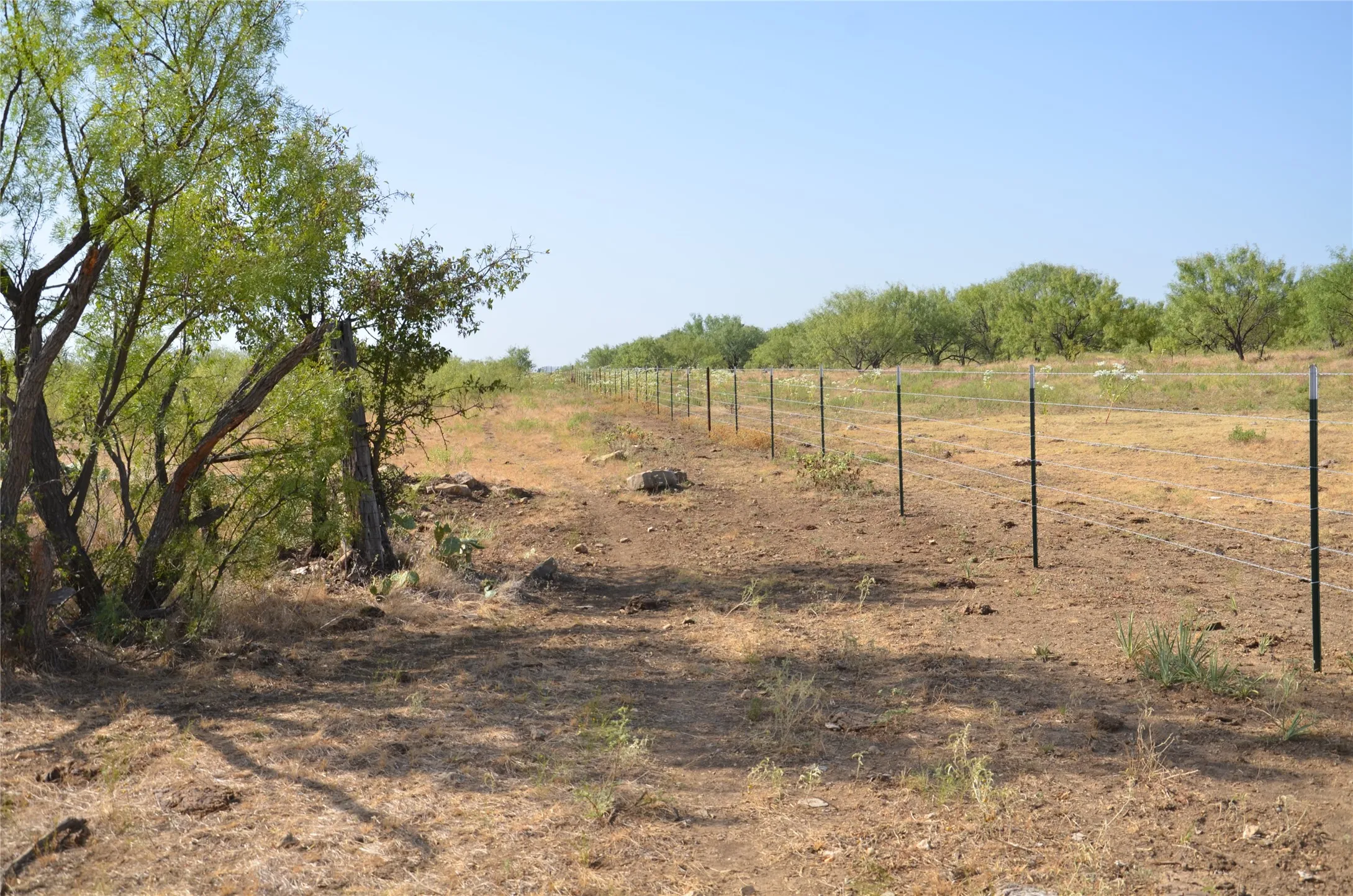 Ranch For Sale in Callahan County , TBD CR 326, Baird, Texas 79504, 0, 0, Garage spaces, 0 Sqft, built in 0, mls#21405986, Real Estate Agent in Baird, Homes For Sale in Callahan county, Homes For Sale in Baird, Realtor in Baird Texas, Real Estate Brokerage Independent Realty Texas, Luminita Cordes Realtor