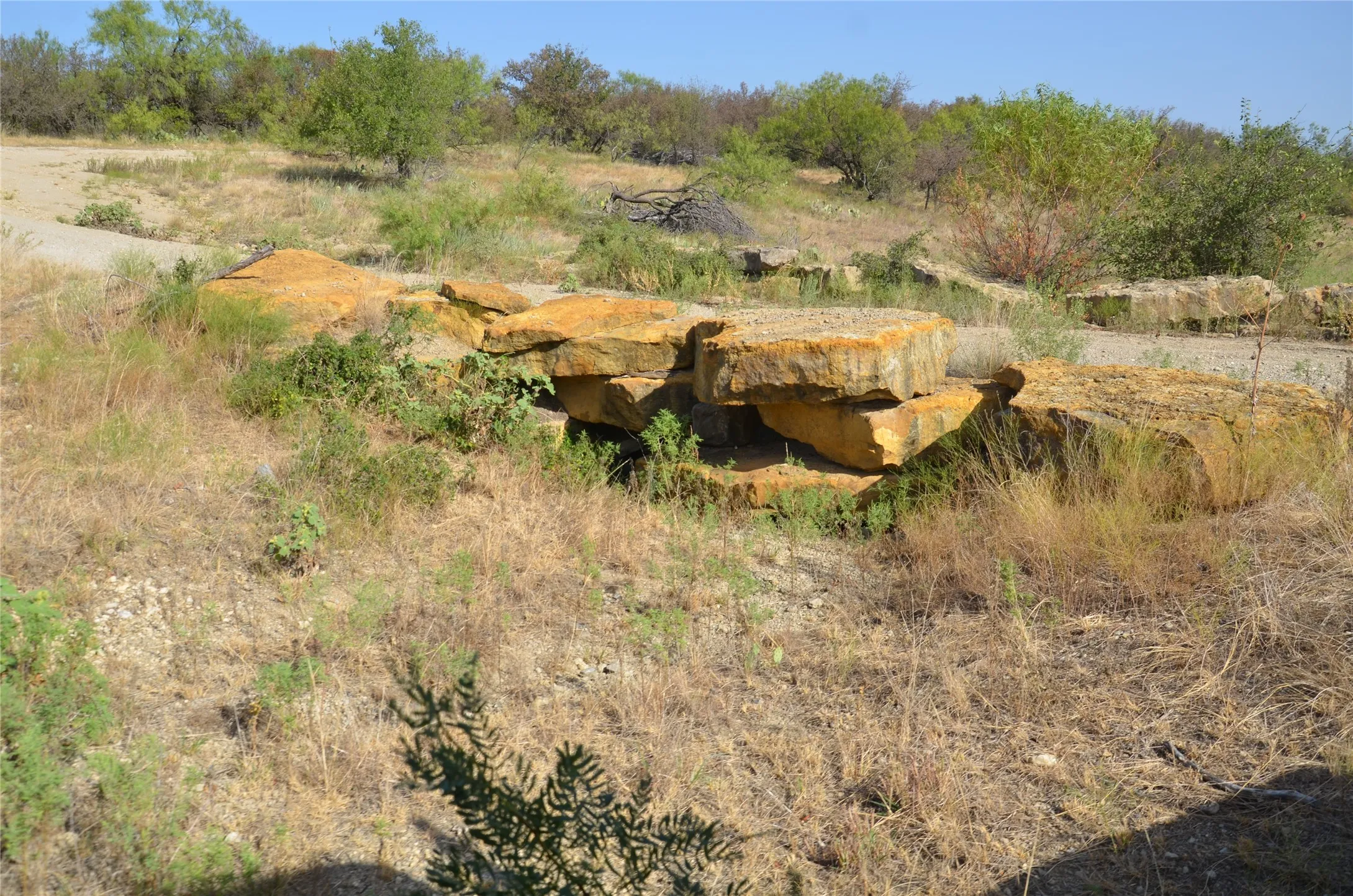 Ranch For Sale in Callahan County , TBD CR 326, Baird, Texas 79504, 0, 0, Garage spaces, 0 Sqft, built in 0, mls#21405986, Real Estate Agent in Baird, Homes For Sale in Callahan county, Homes For Sale in Baird, Realtor in Baird Texas, Real Estate Brokerage Independent Realty Texas, Luminita Cordes Realtor