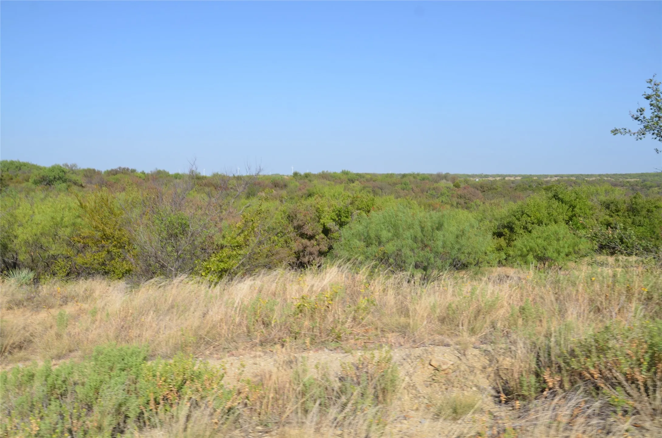 Ranch For Sale in Callahan County , TBD CR 326, Baird, Texas 79504, 0, 0, Garage spaces, 0 Sqft, built in 0, mls#21405986, Real Estate Agent in Baird, Homes For Sale in Callahan county, Homes For Sale in Baird, Realtor in Baird Texas, Real Estate Brokerage Independent Realty Texas, Luminita Cordes Realtor