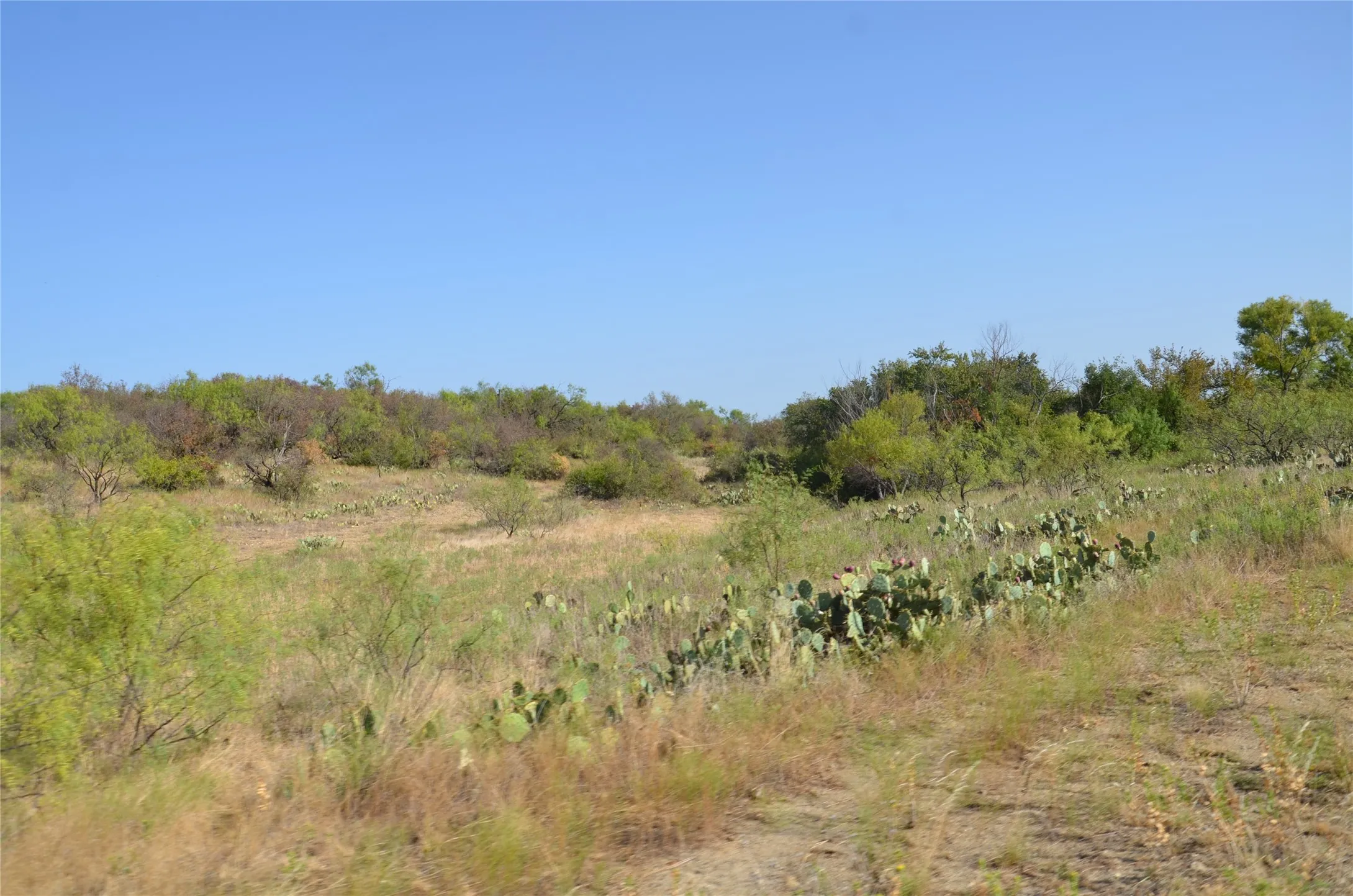 Ranch For Sale in Callahan County , TBD CR 326, Baird, Texas 79504, 0, 0, Garage spaces, 0 Sqft, built in 0, mls#21405986, Real Estate Agent in Baird, Homes For Sale in Callahan county, Homes For Sale in Baird, Realtor in Baird Texas, Real Estate Brokerage Independent Realty Texas, Luminita Cordes Realtor