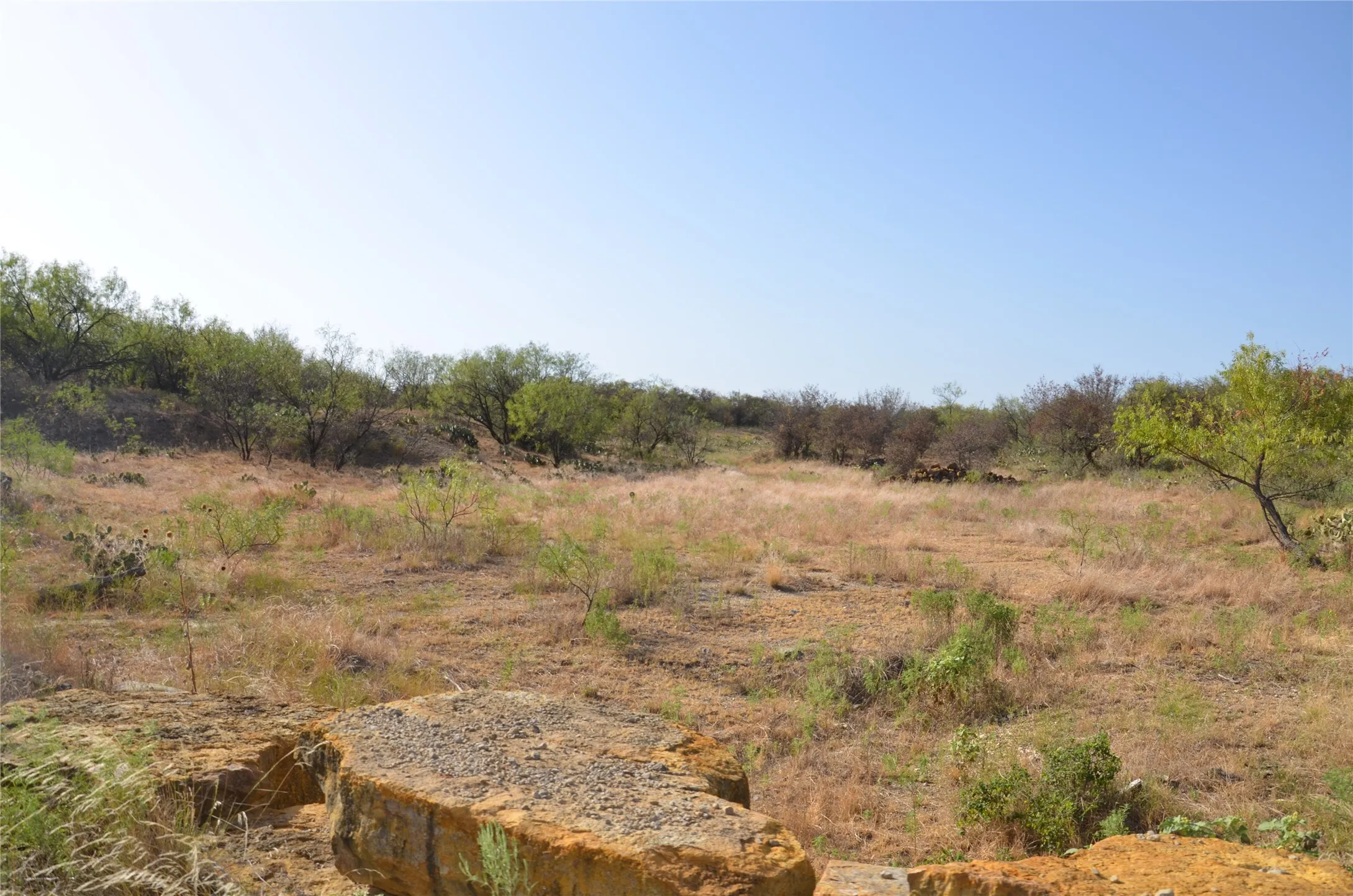 Ranch For Sale in Callahan County , TBD CR 326, Baird, Texas 79504, 0, 0, Garage spaces, 0 Sqft, built in 0, mls#21405986, Real Estate Agent in Baird, Homes For Sale in Callahan county, Homes For Sale in Baird, Realtor in Baird Texas, Real Estate Brokerage Independent Realty Texas, Luminita Cordes Realtor