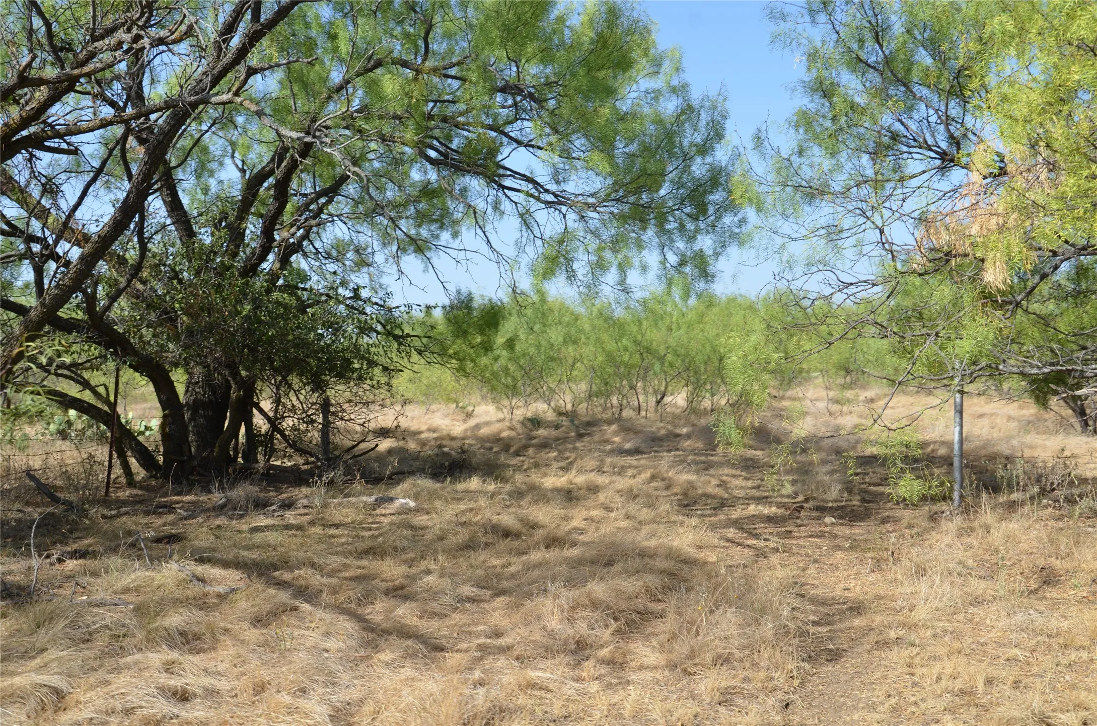 Ranch For Sale in Callahan County , TBD CR 326, Baird, Texas 79504, 0, 0, Garage spaces, 0 Sqft, built in 0, mls#21405986, Real Estate Agent in Baird, Homes For Sale in Callahan county, Homes For Sale in Baird, Realtor in Baird Texas, Real Estate Brokerage Independent Realty Texas, Luminita Cordes Realtor
