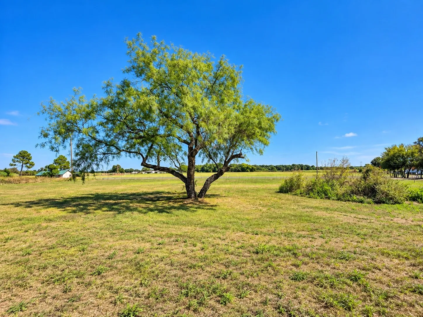 Mobile Home For Sale in Hill County , 331 Hcr 2207, Aquilla, Texas 76622, 3 Bedroom, 2 Bathroom, Garage spaces, 2,112 Sqft, built in 1999, mls#21404802, Real Estate Agent in Aquilla, Homes For Sale in Hill county, Homes For Sale in Aquilla, Realtor in Aquilla Texas, Real Estate Brokerage Independent Realty Texas, Luminita Cordes Realtor