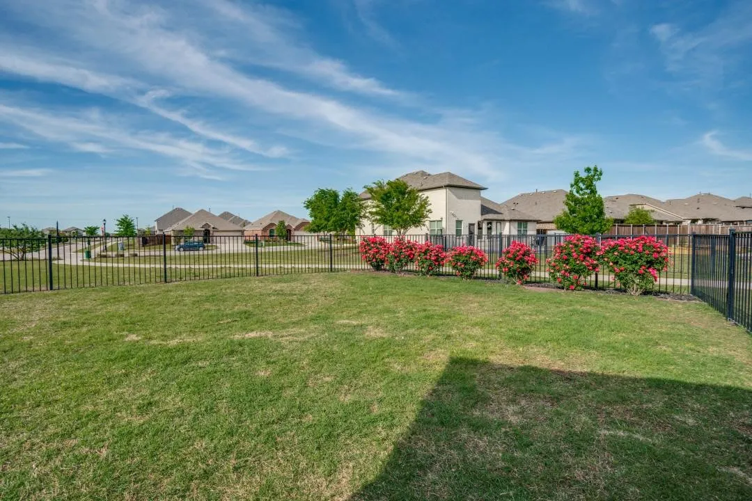 Expansive lawn area with a black metal fence, bordered by mature rose bushes and assorted trees