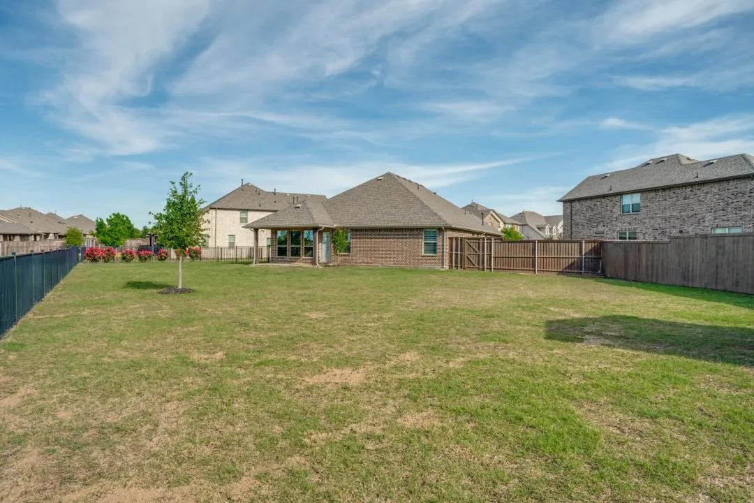 Expansive lawn area with a young tree, bordered by a black metal fence and wood privacy fencing
