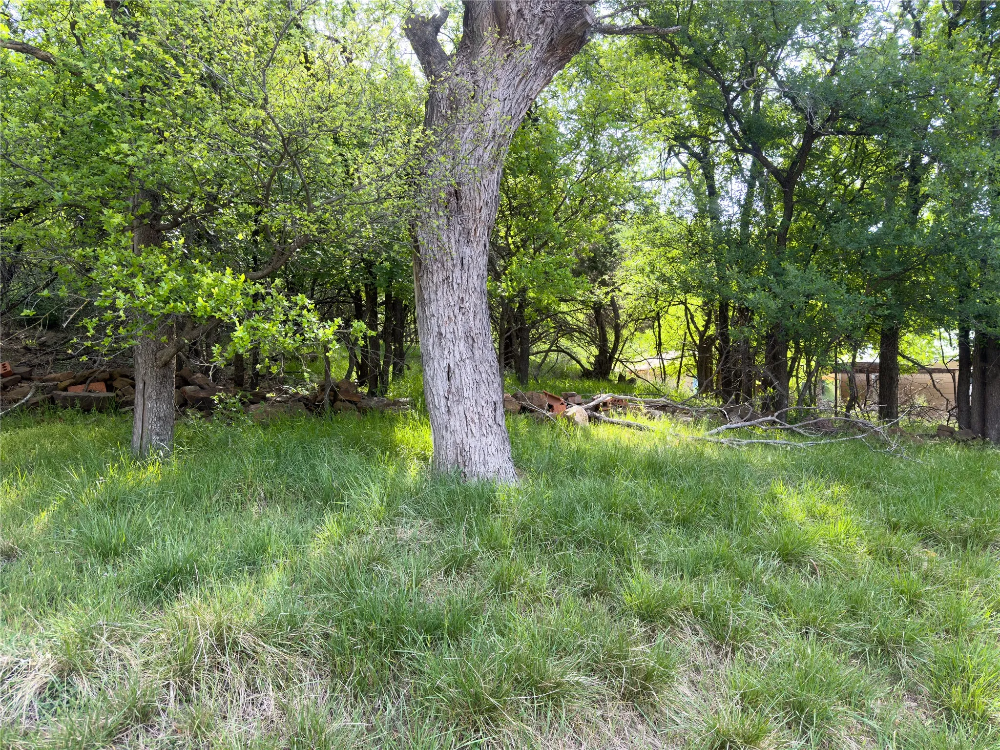 Unimproved Land For Sale in Palo Pinto County , 00 NE 9th Avenue, Mineral Wells, Texas 76067, 0, 0, Garage spaces, 0 Sqft, built in 0, mls#21406084, Real Estate Agent in Mineral Wells, Homes For Sale in Palo Pinto county, Homes For Sale in Mineral Wells, Realtor in Mineral Wells Texas, Real Estate Brokerage Independent Realty Texas, Luminita Cordes Realtor