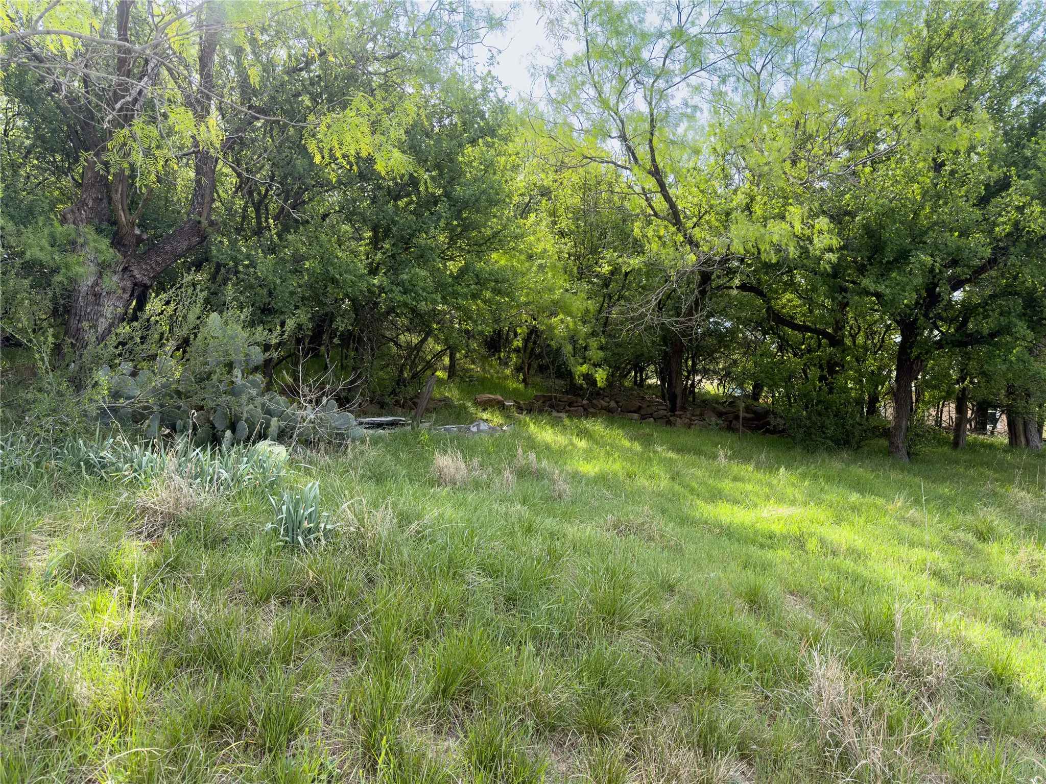 Unimproved Land For Sale in Palo Pinto County , 00 NE 9th Avenue, Mineral Wells, Texas 76067, 0, 0, Garage spaces, 0 Sqft, built in 0, mls#21406084, Real Estate Agent in Mineral Wells, Homes For Sale in Palo Pinto county, Homes For Sale in Mineral Wells, Realtor in Mineral Wells Texas, Real Estate Brokerage Independent Realty Texas, Luminita Cordes Realtor