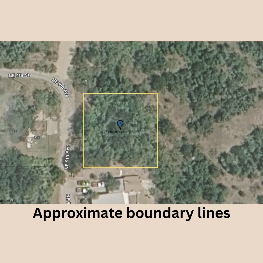Unimproved Land For Sale in Palo Pinto County , 00 NE 9th Avenue, Mineral Wells, Texas 76067, 0, 0, Garage spaces, 0 Sqft, built in 0, mls#21406084, Real Estate Agent in Mineral Wells, Homes For Sale in Palo Pinto county, Homes For Sale in Mineral Wells, Realtor in Mineral Wells Texas, Real Estate Brokerage Independent Realty Texas, Luminita Cordes Realtor