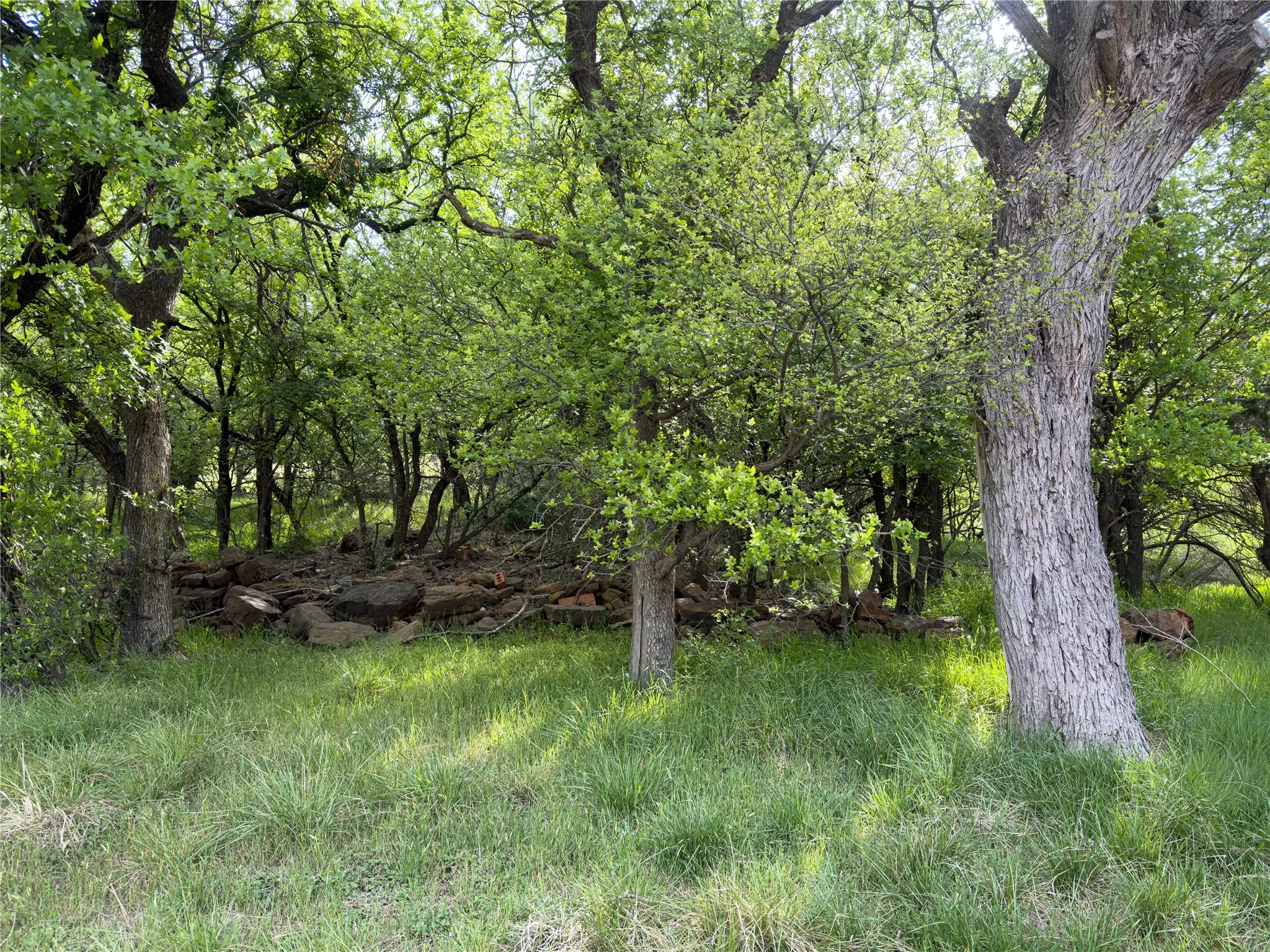 Unimproved Land For Sale in Palo Pinto County , 00 NE 9th Avenue, Mineral Wells, Texas 76067, 0, 0, Garage spaces, 0 Sqft, built in 0, mls#21406084, Real Estate Agent in Mineral Wells, Homes For Sale in Palo Pinto county, Homes For Sale in Mineral Wells, Realtor in Mineral Wells Texas, Real Estate Brokerage Independent Realty Texas, Luminita Cordes Realtor