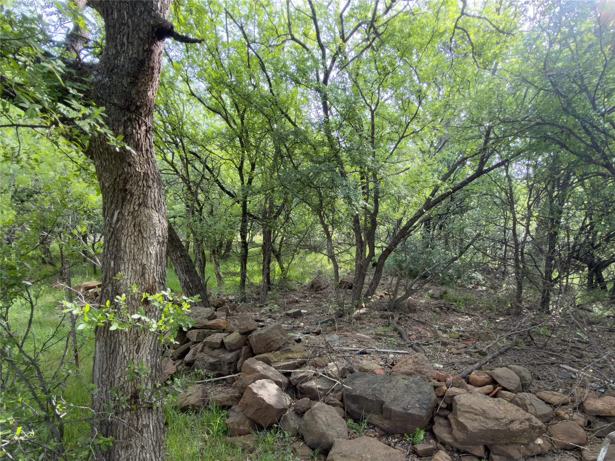 Unimproved Land For Sale in Palo Pinto County , 00 NE 9th Avenue, Mineral Wells, Texas 76067, 0, 0, Garage spaces, 0 Sqft, built in 0, mls#21406084, Real Estate Agent in Mineral Wells, Homes For Sale in Palo Pinto county, Homes For Sale in Mineral Wells, Realtor in Mineral Wells Texas, Real Estate Brokerage Independent Realty Texas, Luminita Cordes Realtor