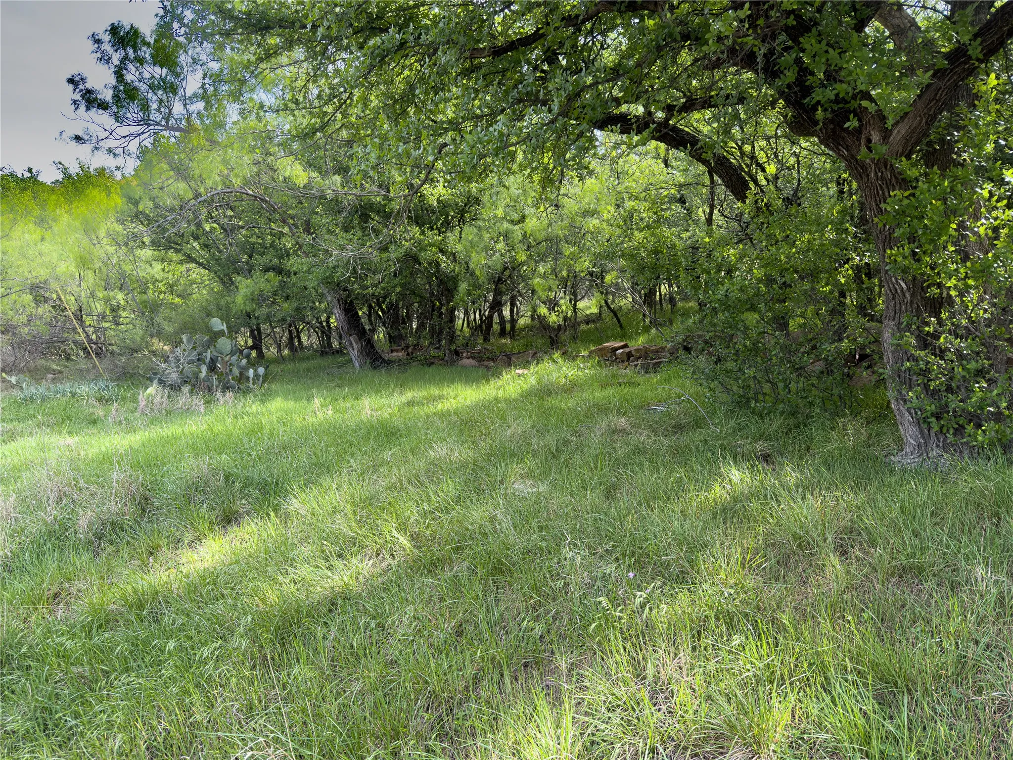 Unimproved Land For Sale in Palo Pinto County , 00 NE 9th Avenue, Mineral Wells, Texas 76067, 0, 0, Garage spaces, 0 Sqft, built in 0, mls#21406084, Real Estate Agent in Mineral Wells, Homes For Sale in Palo Pinto county, Homes For Sale in Mineral Wells, Realtor in Mineral Wells Texas, Real Estate Brokerage Independent Realty Texas, Luminita Cordes Realtor