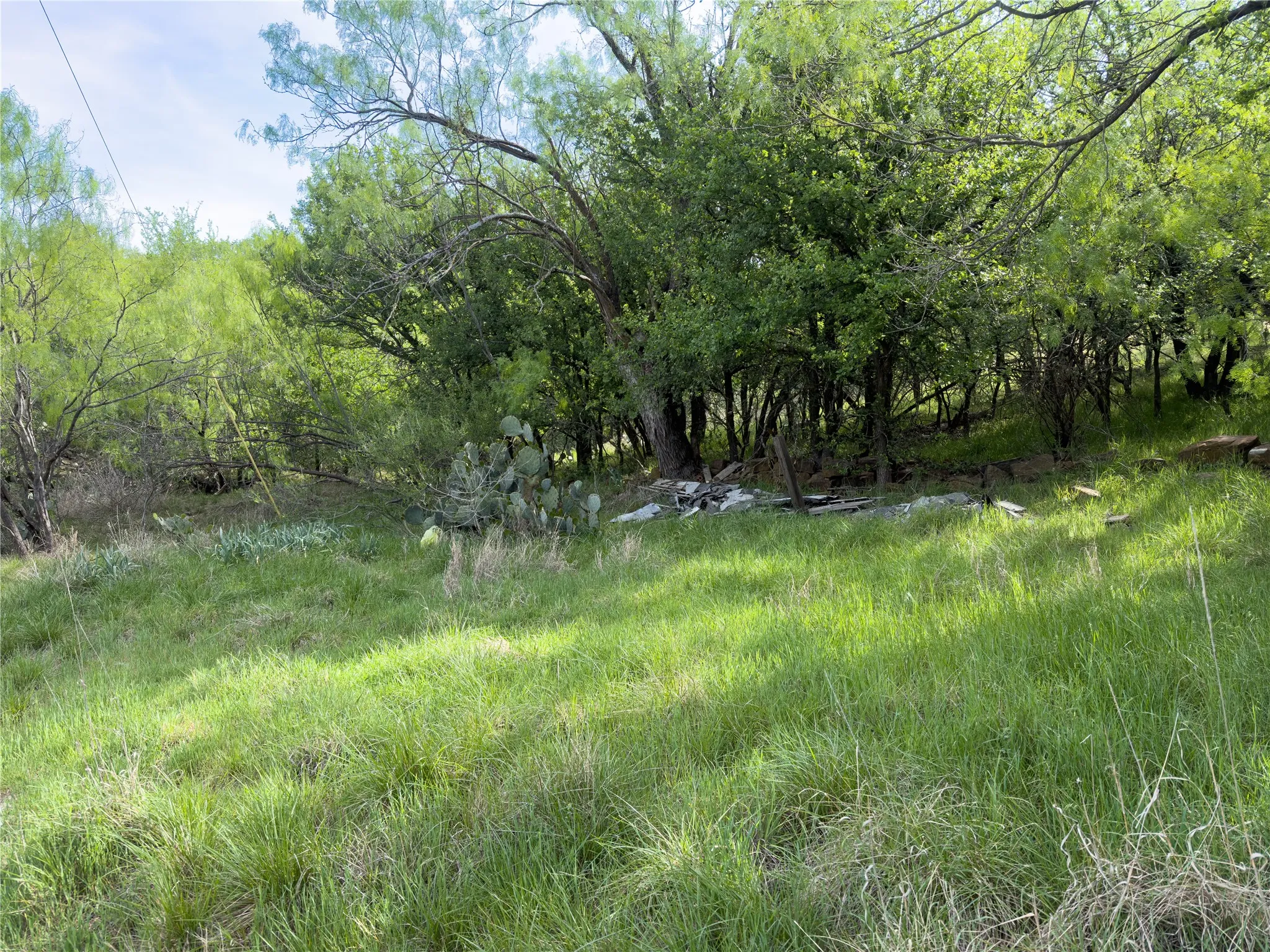 Unimproved Land For Sale in Palo Pinto County , 00 NE 9th Avenue, Mineral Wells, Texas 76067, 0, 0, Garage spaces, 0 Sqft, built in 0, mls#21406084, Real Estate Agent in Mineral Wells, Homes For Sale in Palo Pinto county, Homes For Sale in Mineral Wells, Realtor in Mineral Wells Texas, Real Estate Brokerage Independent Realty Texas, Luminita Cordes Realtor