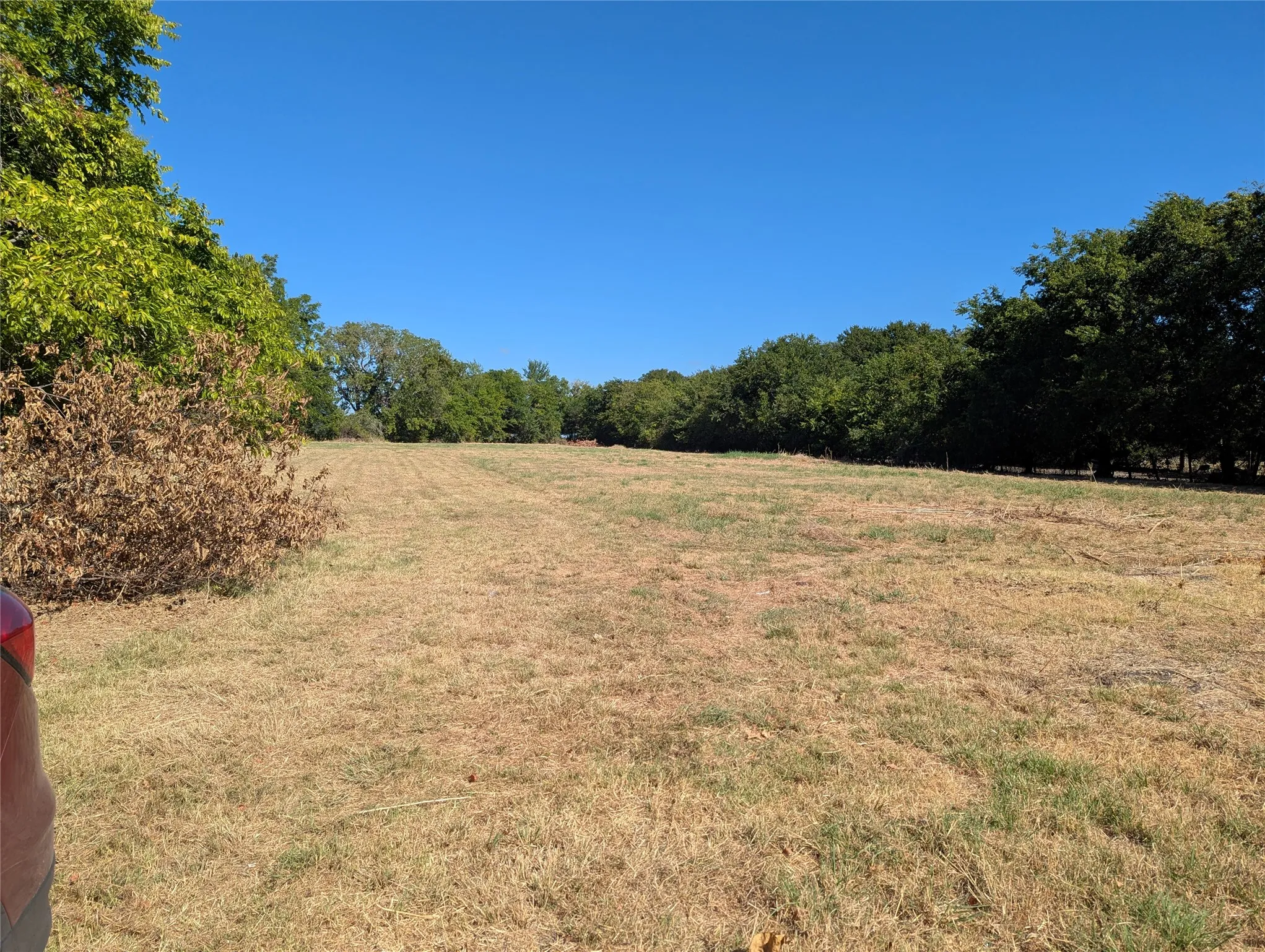 Business For Rent in Collin County , 892 State Highway 78 S, Farmersville, Texas 75442, 0, 0, Garage spaces, 0 Sqft, built in 2026, mls#21383789, Real Estate Agent in Farmersville, Homes For Rent in Collin county, Homes For Rent in Farmersville, Realtor in Farmersville Texas, Real Estate Brokerage Independent Realty Texas, Luminita Cordes Realtor