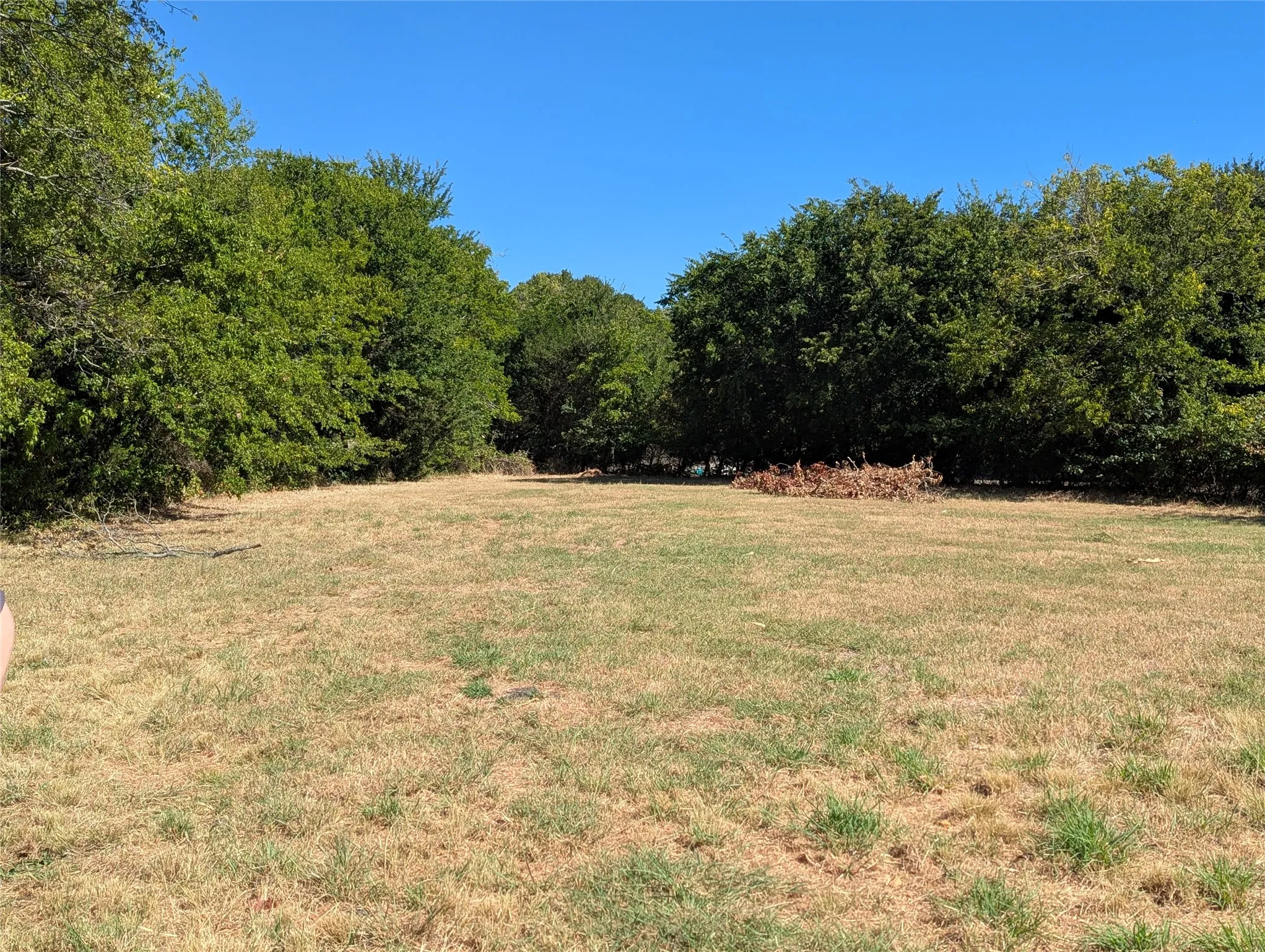 Business For Rent in Collin County , 892 State Highway 78 S, Farmersville, Texas 75442, 0, 0, Garage spaces, 0 Sqft, built in 2026, mls#21383789, Real Estate Agent in Farmersville, Homes For Rent in Collin county, Homes For Rent in Farmersville, Realtor in Farmersville Texas, Real Estate Brokerage Independent Realty Texas, Luminita Cordes Realtor