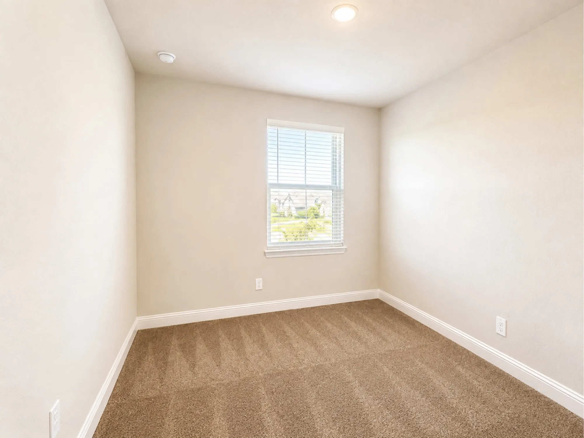 Neutral-toned walls complement the brown carpeted flooring