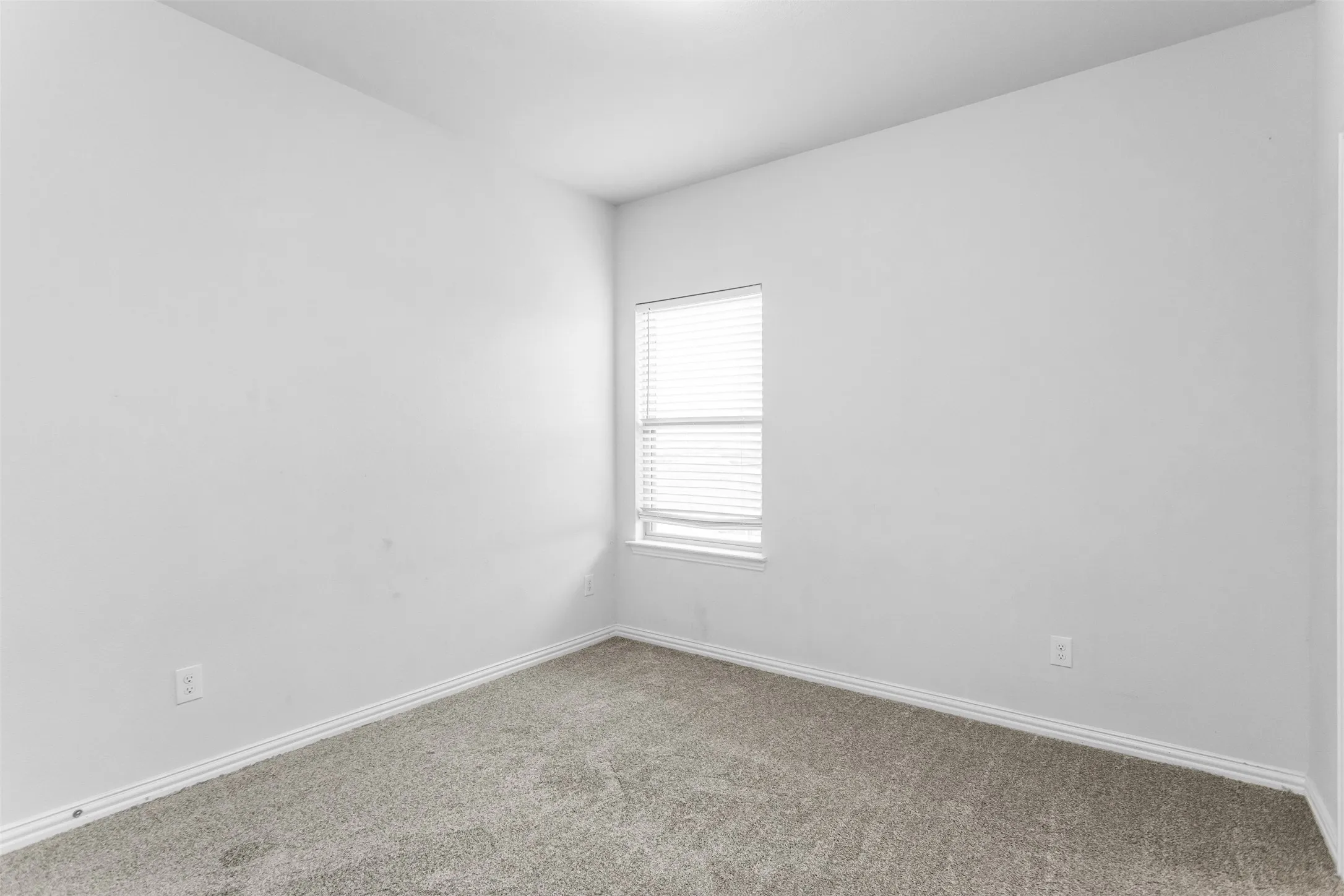 Carpeted flooring, window with blinds, white trim, and light wall finishes