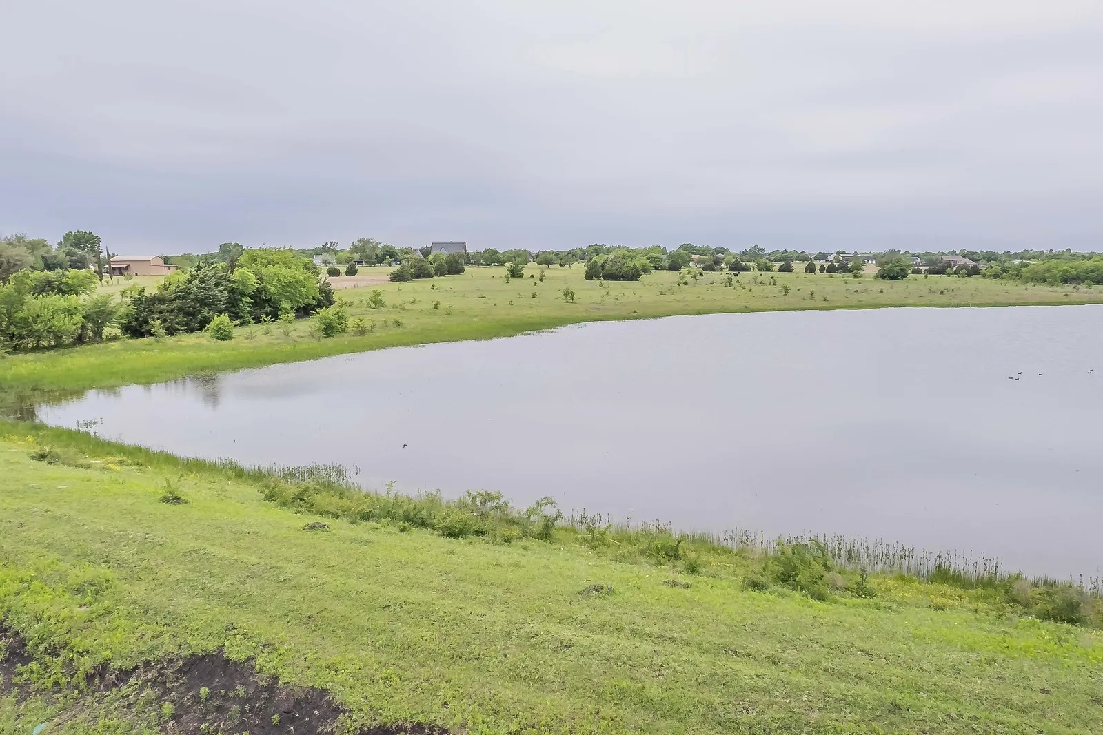 Ranch For Sale in Rockwall County , 0000 Rochelle Road, Rockwall, Texas 75032, 0, 0, Garage spaces, 0 Sqft, built in 0, mls#21406120, Real Estate Agent in Rockwall, Homes For Sale in Rockwall county, Homes For Sale in Rockwall, Realtor in Rockwall Texas, Real Estate Brokerage Independent Realty Texas, Luminita Cordes Realtor