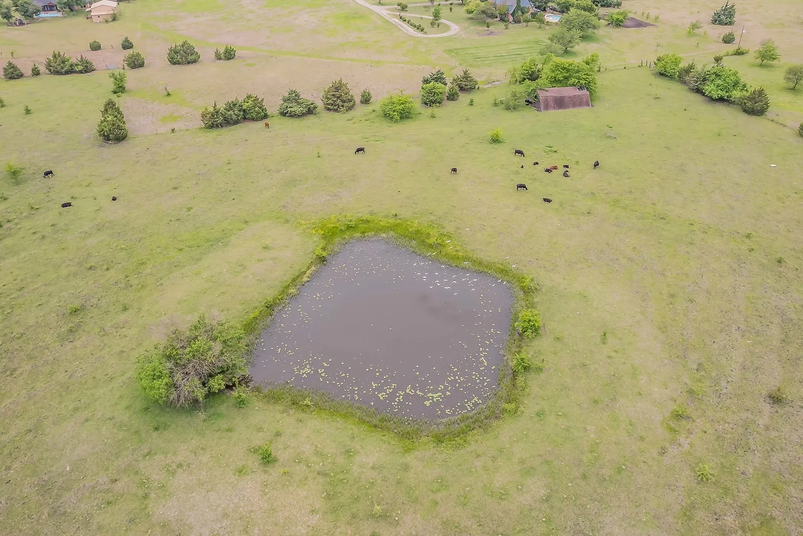 Ranch For Sale in Rockwall County , 0000 Rochelle Road, Rockwall, Texas 75032, 0, 0, Garage spaces, 0 Sqft, built in 0, mls#21406120, Real Estate Agent in Rockwall, Homes For Sale in Rockwall county, Homes For Sale in Rockwall, Realtor in Rockwall Texas, Real Estate Brokerage Independent Realty Texas, Luminita Cordes Realtor