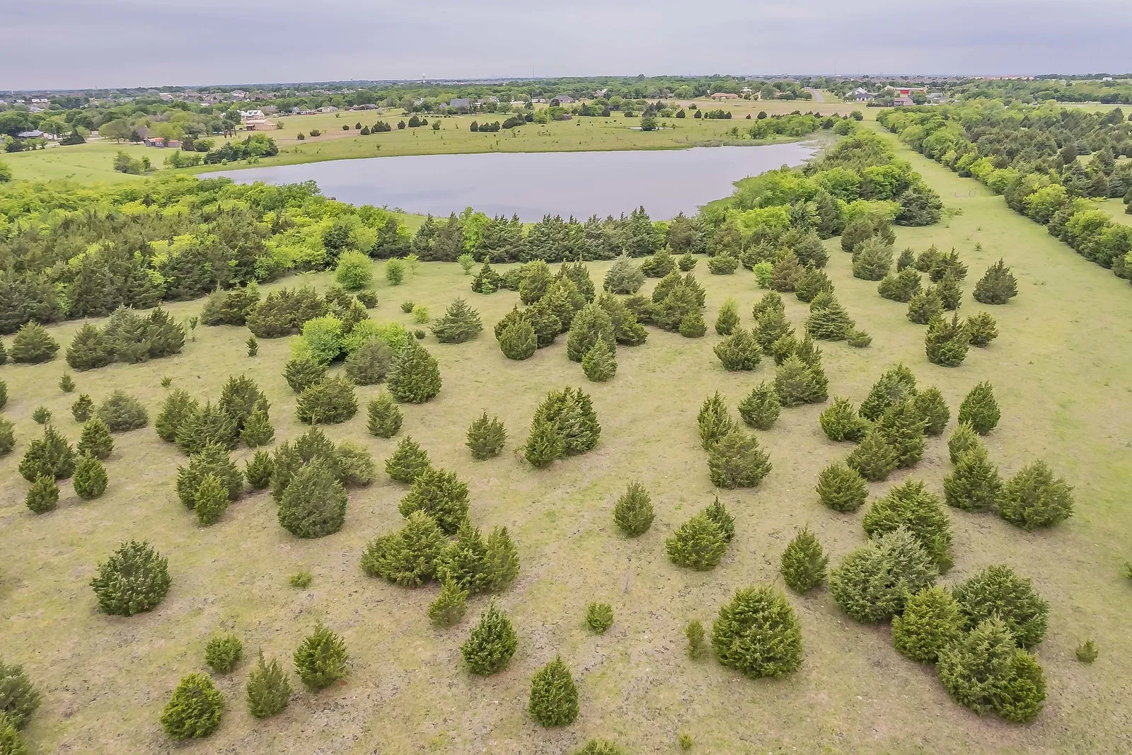 Ranch For Sale in Rockwall County , 0000 Rochelle Road, Rockwall, Texas 75032, 0, 0, Garage spaces, 0 Sqft, built in 0, mls#21406120, Real Estate Agent in Rockwall, Homes For Sale in Rockwall county, Homes For Sale in Rockwall, Realtor in Rockwall Texas, Real Estate Brokerage Independent Realty Texas, Luminita Cordes Realtor