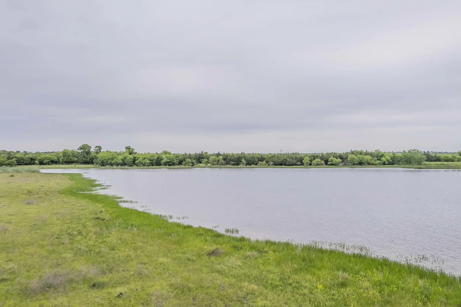 Ranch For Sale in Rockwall County , 0000 Rochelle Road, Rockwall, Texas 75032, 0, 0, Garage spaces, 0 Sqft, built in 0, mls#21406120, Real Estate Agent in Rockwall, Homes For Sale in Rockwall county, Homes For Sale in Rockwall, Realtor in Rockwall Texas, Real Estate Brokerage Independent Realty Texas, Luminita Cordes Realtor
