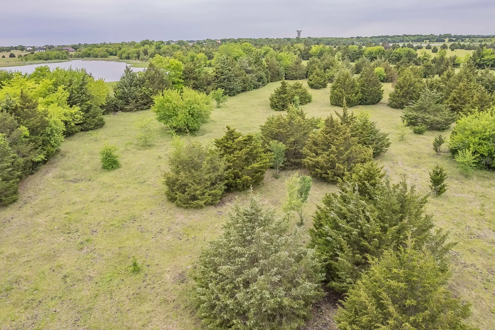 Ranch For Sale in Rockwall County , 0000 Rochelle Road, Rockwall, Texas 75032, 0, 0, Garage spaces, 0 Sqft, built in 0, mls#21406120, Real Estate Agent in Rockwall, Homes For Sale in Rockwall county, Homes For Sale in Rockwall, Realtor in Rockwall Texas, Real Estate Brokerage Independent Realty Texas, Luminita Cordes Realtor