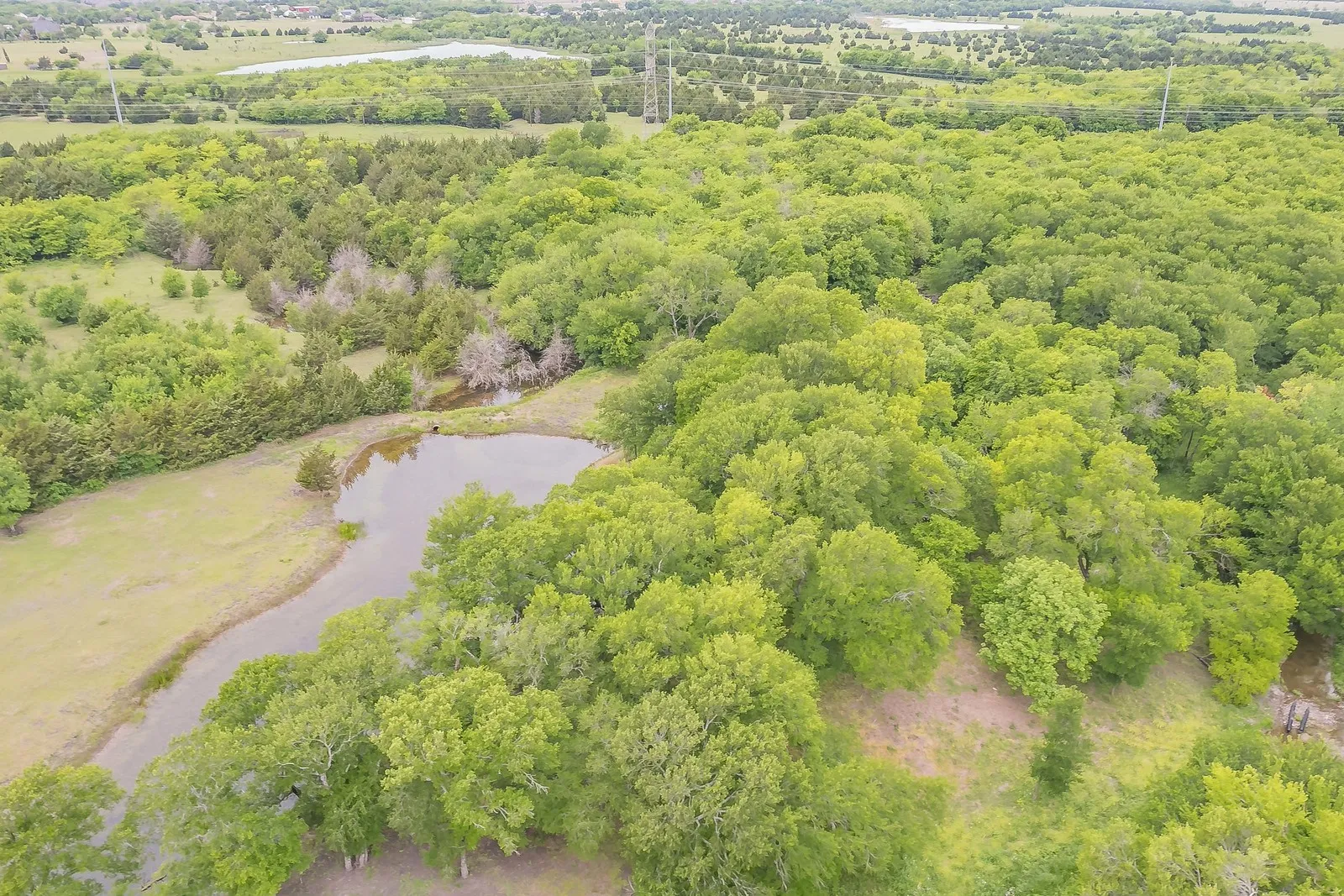 Ranch For Sale in Rockwall County , 0000 Rochelle Road, Rockwall, Texas 75032, 0, 0, Garage spaces, 0 Sqft, built in 0, mls#21406120, Real Estate Agent in Rockwall, Homes For Sale in Rockwall county, Homes For Sale in Rockwall, Realtor in Rockwall Texas, Real Estate Brokerage Independent Realty Texas, Luminita Cordes Realtor