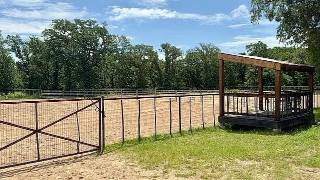 Arena