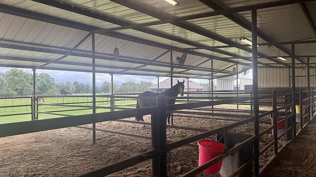 Single Family Residence For Sale in Parker County , 8850 Old Agnes Road, Poolville, Texas 76487, 5 Bedroom, 4 Bathroom, 2 Garage spaces, 3,424 Sqft, built in 2017, mls#21405736, Real Estate Agent in Poolville, Homes For Sale in Parker county, Homes For Sale in Poolville, Realtor in Poolville Texas, Real Estate Brokerage Independent Realty Texas, Luminita Cordes Realtor