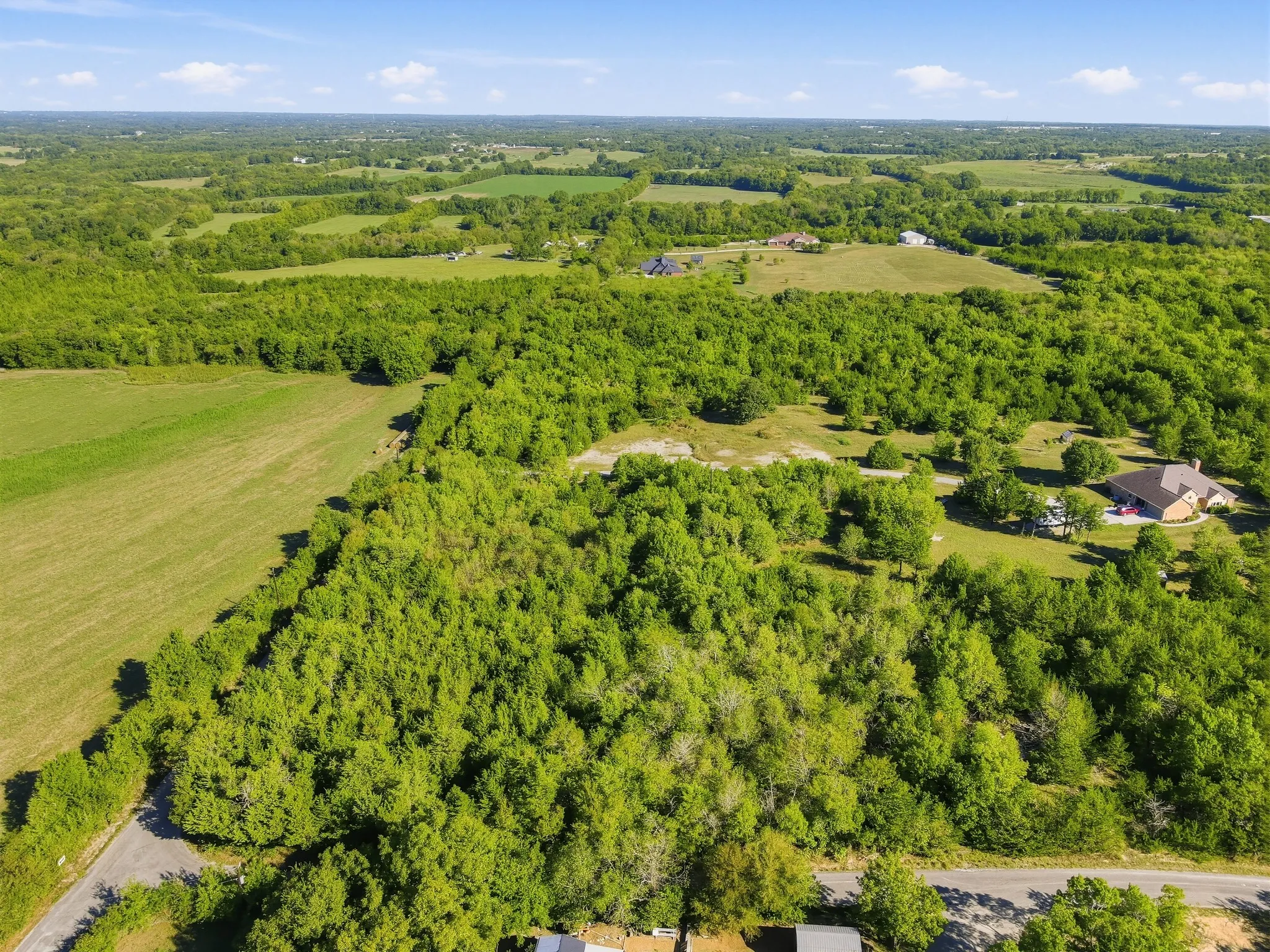 Unimproved Land For Sale in Grayson County , TBD Durham, Whitewright, Texas 75491, 0, 0, Garage spaces, 0 Sqft, built in 0, mls#21406080, Real Estate Agent in Whitewright, Homes For Sale in Grayson county, Homes For Sale in Whitewright, Realtor in Whitewright Texas, Real Estate Brokerage Independent Realty Texas, Luminita Cordes Realtor