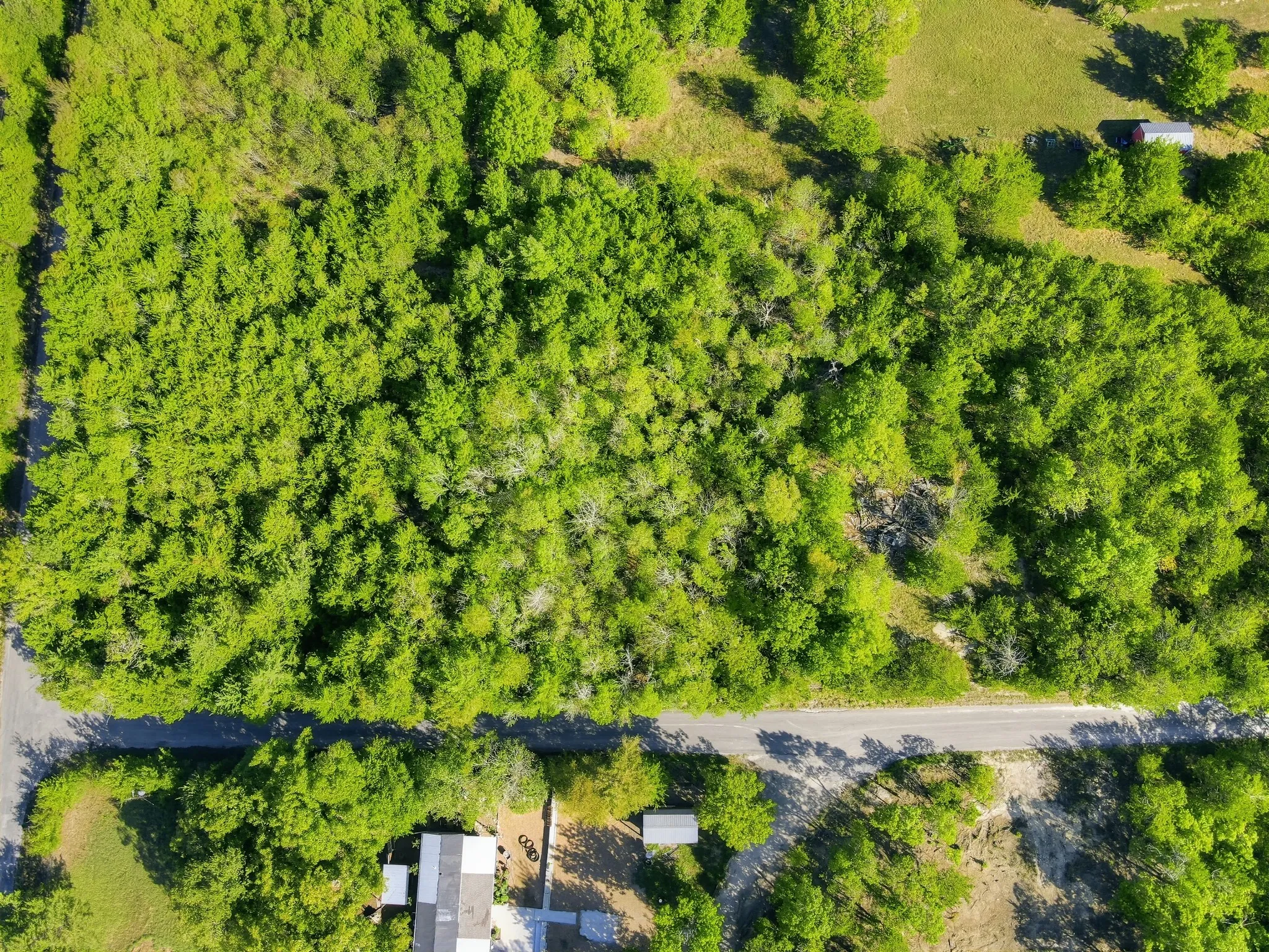 Unimproved Land For Sale in Grayson County , TBD Durham, Whitewright, Texas 75491, 0, 0, Garage spaces, 0 Sqft, built in 0, mls#21406080, Real Estate Agent in Whitewright, Homes For Sale in Grayson county, Homes For Sale in Whitewright, Realtor in Whitewright Texas, Real Estate Brokerage Independent Realty Texas, Luminita Cordes Realtor