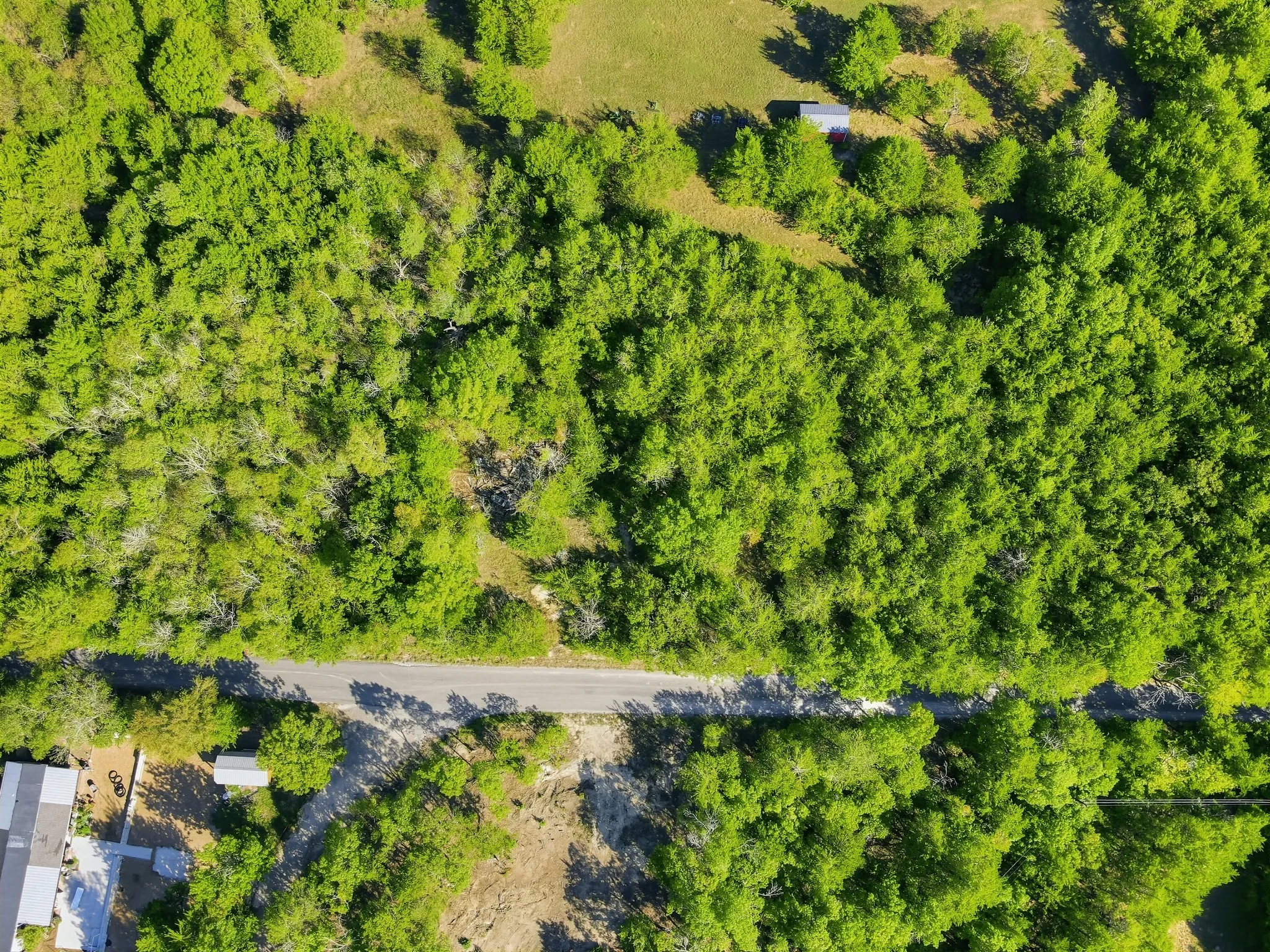Unimproved Land For Sale in Grayson County , TBD Durham, Whitewright, Texas 75491, 0, 0, Garage spaces, 0 Sqft, built in 0, mls#21406080, Real Estate Agent in Whitewright, Homes For Sale in Grayson county, Homes For Sale in Whitewright, Realtor in Whitewright Texas, Real Estate Brokerage Independent Realty Texas, Luminita Cordes Realtor