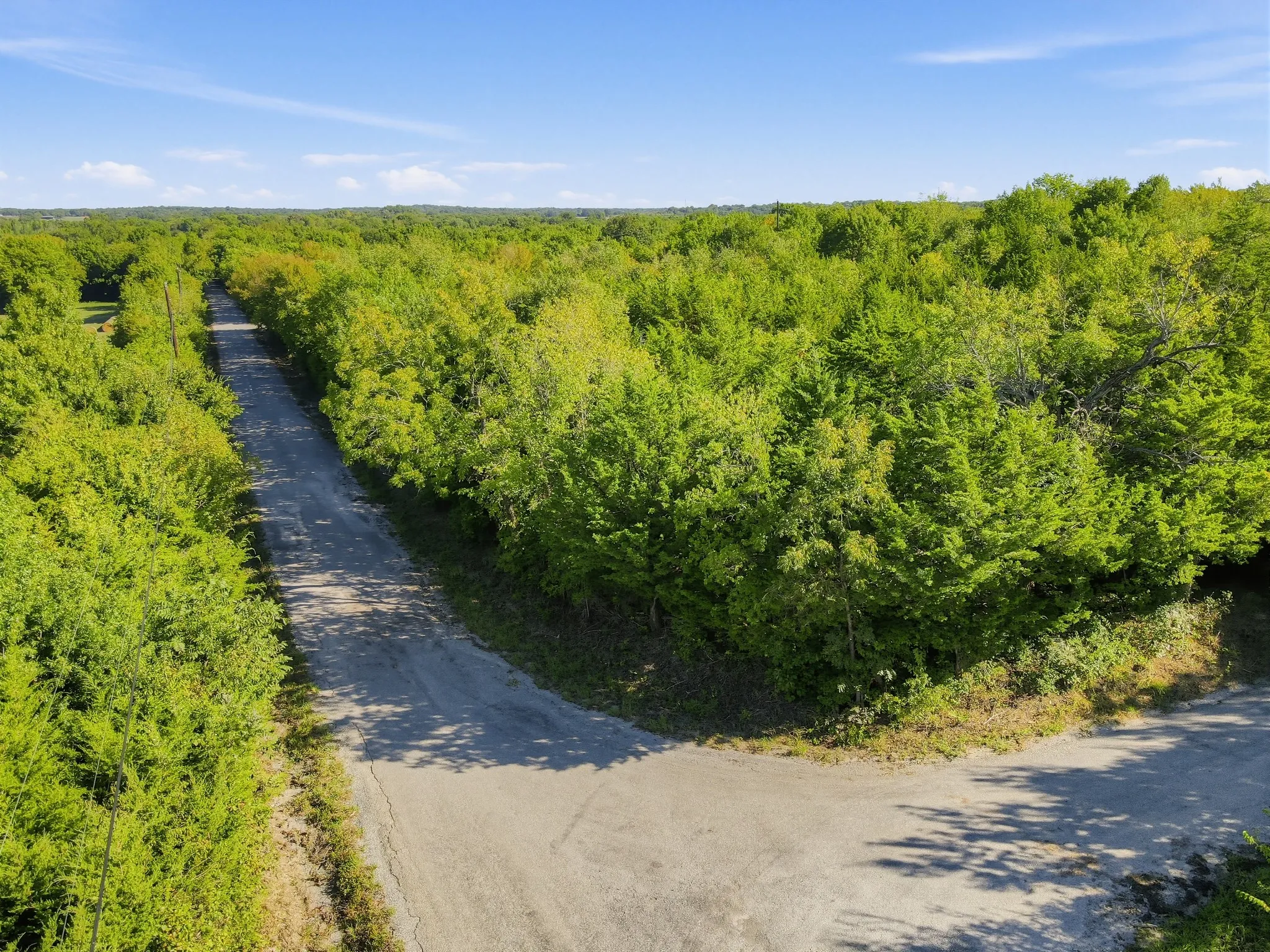 Unimproved Land For Sale in Grayson County , TBD Durham, Whitewright, Texas 75491, 0, 0, Garage spaces, 0 Sqft, built in 0, mls#21406080, Real Estate Agent in Whitewright, Homes For Sale in Grayson county, Homes For Sale in Whitewright, Realtor in Whitewright Texas, Real Estate Brokerage Independent Realty Texas, Luminita Cordes Realtor