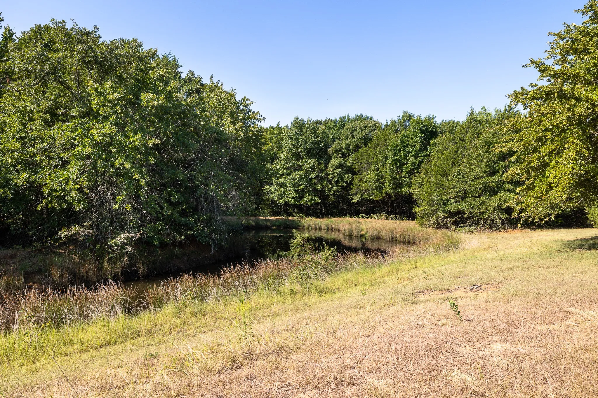 Pond 1