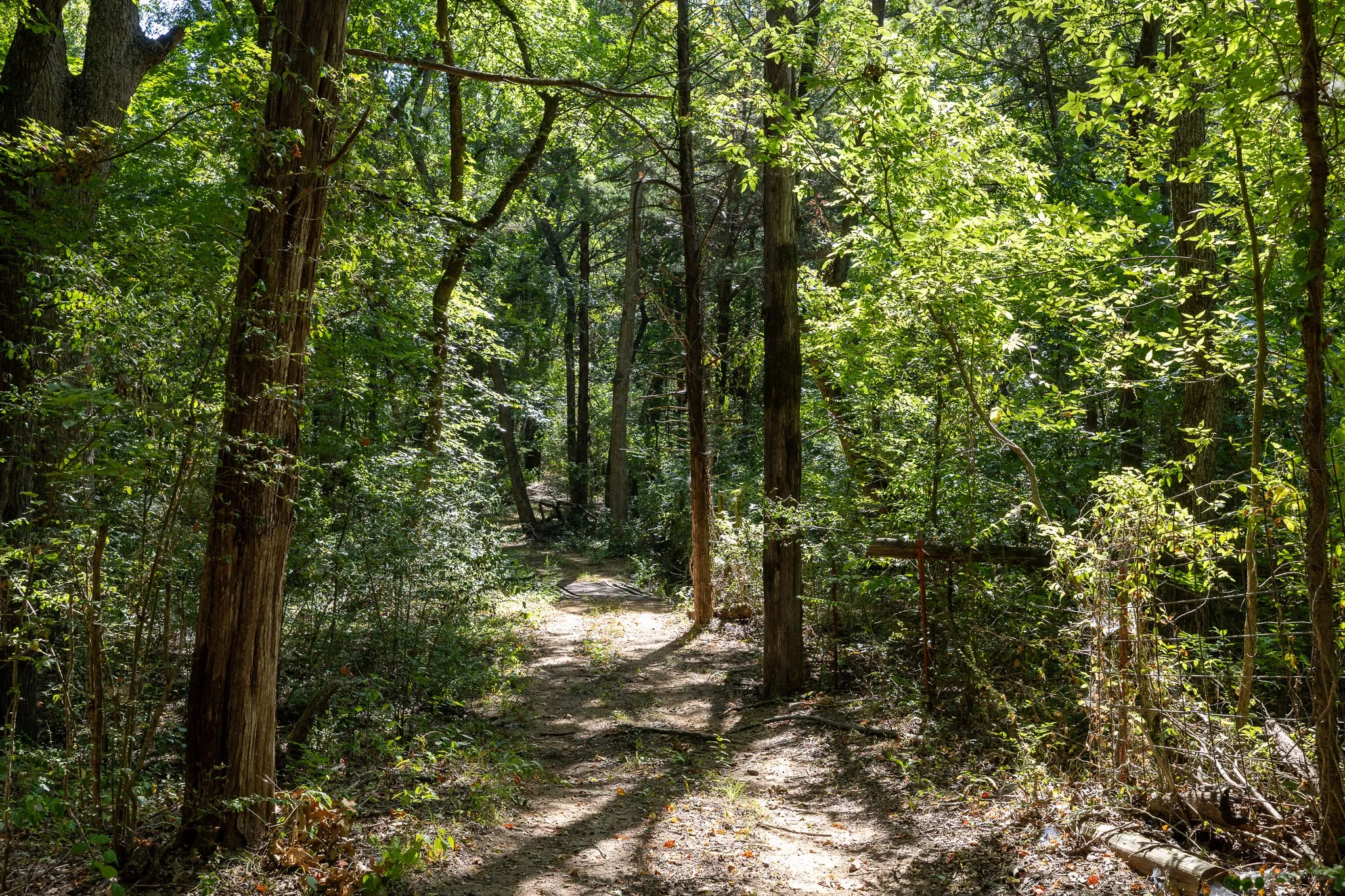 Unimproved Land For Sale in Grayson County , TBD Richards Road, Sadler, Texas 76264, 0, 0, Garage spaces, 0 Sqft, built in 0, mls#21404431, Real Estate Agent in Sadler, Homes For Sale in Grayson county, Homes For Sale in Sadler, Realtor in Sadler Texas, Real Estate Brokerage Independent Realty Texas, Luminita Cordes Realtor