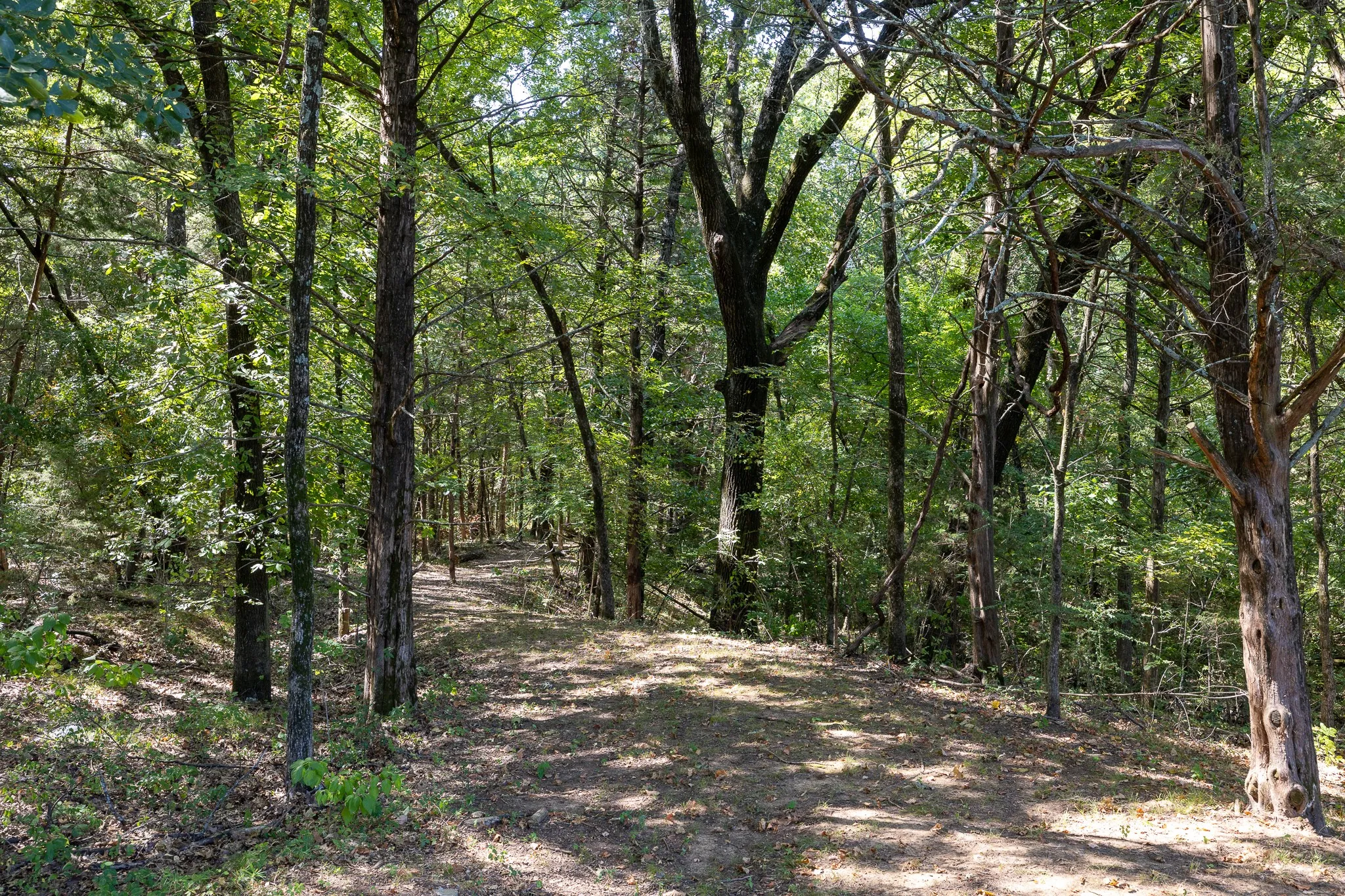 Unimproved Land For Sale in Grayson County , TBD Richards Road, Sadler, Texas 76264, 0, 0, Garage spaces, 0 Sqft, built in 0, mls#21404431, Real Estate Agent in Sadler, Homes For Sale in Grayson county, Homes For Sale in Sadler, Realtor in Sadler Texas, Real Estate Brokerage Independent Realty Texas, Luminita Cordes Realtor