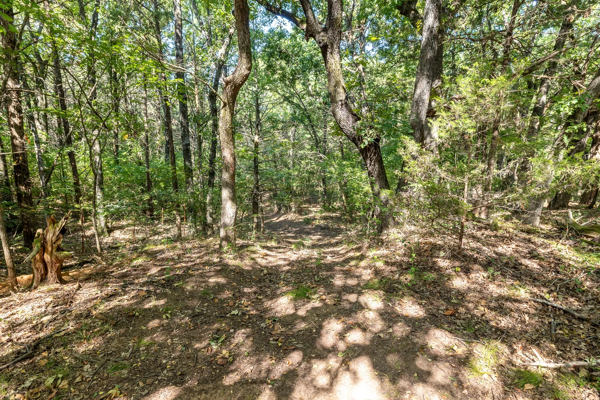Unimproved Land For Sale in Grayson County , TBD Richards Road, Sadler, Texas 76264, 0, 0, Garage spaces, 0 Sqft, built in 0, mls#21404431, Real Estate Agent in Sadler, Homes For Sale in Grayson county, Homes For Sale in Sadler, Realtor in Sadler Texas, Real Estate Brokerage Independent Realty Texas, Luminita Cordes Realtor
