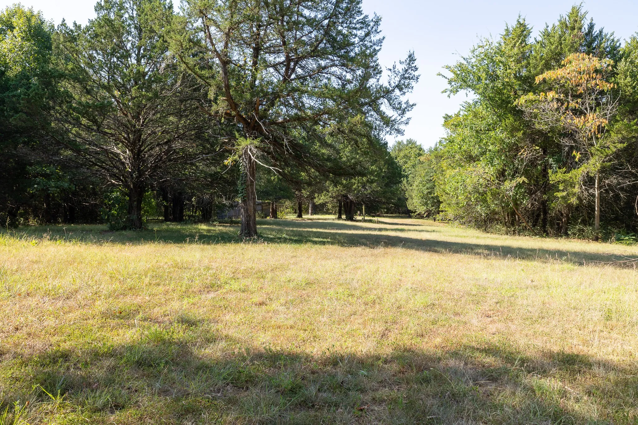 Unimproved Land For Sale in Grayson County , TBD Richards Road, Sadler, Texas 76264, 0, 0, Garage spaces, 0 Sqft, built in 0, mls#21404431, Real Estate Agent in Sadler, Homes For Sale in Grayson county, Homes For Sale in Sadler, Realtor in Sadler Texas, Real Estate Brokerage Independent Realty Texas, Luminita Cordes Realtor